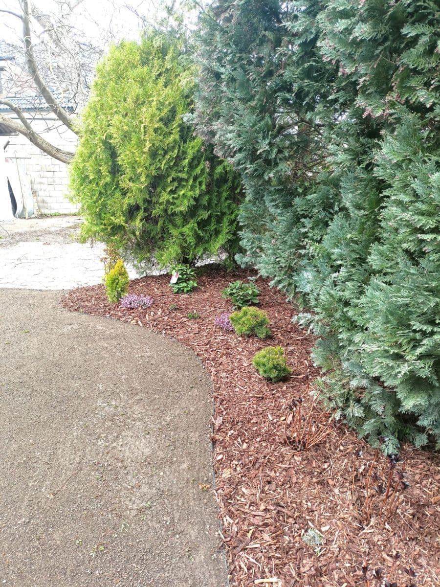 2 bedroom with open-plan kitchen flat for sale, 114 m², Pod Lesíkem, Prague, Prague 2 bedroom with open-plan kitchen flat for sale, 114 m², Pod Lesíkem, Prague, Prague