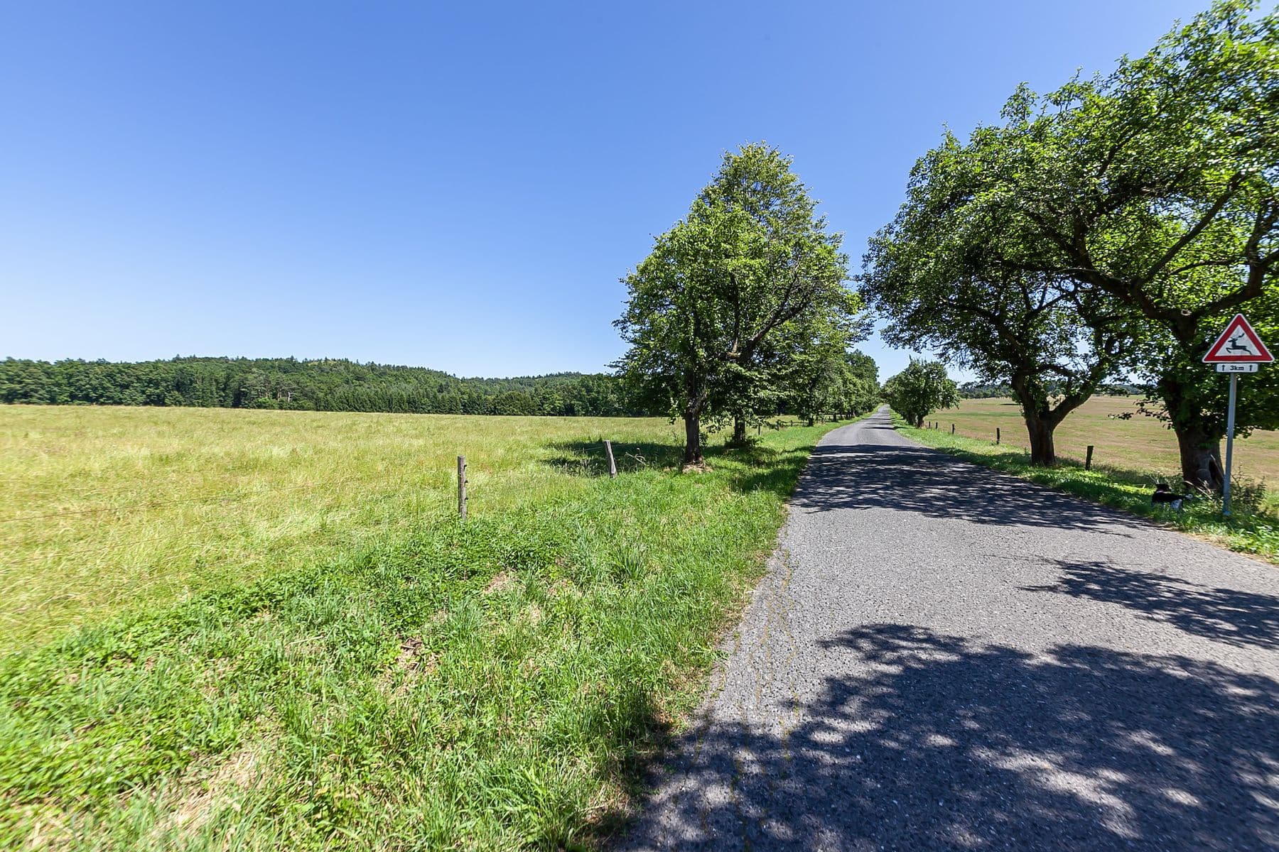 plot for sale, 10,156 m², Višňová, Liberecký Region plot for sale, 10,156 m², Višňová, Liberecký Region