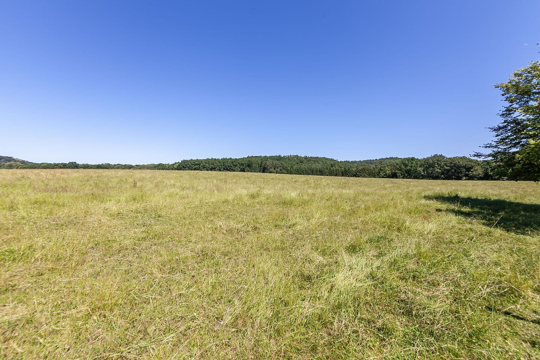 plot for sale, 10,156 m², Višňová, Liberecký Region plot for sale, 10,156 m², Višňová, Liberecký Region