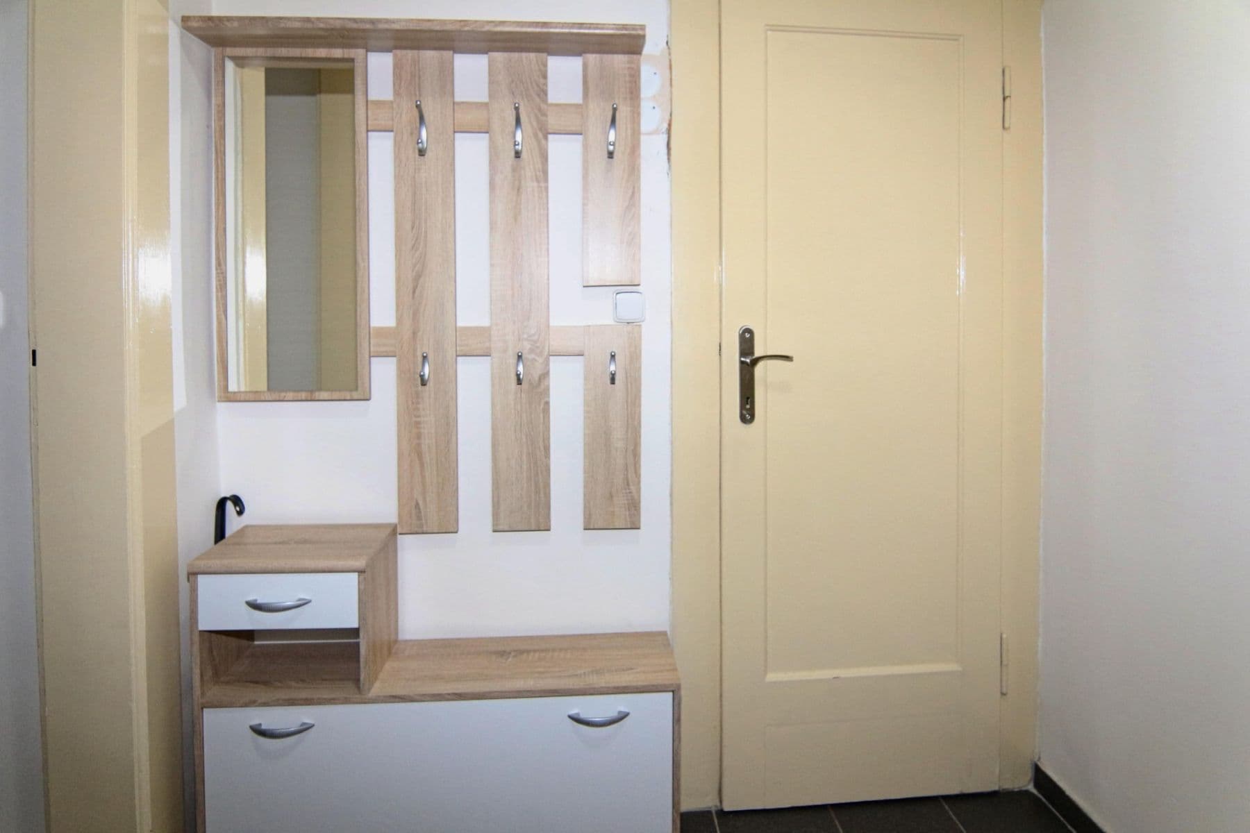 1 bedroom with open-plan kitchen flat to rent, 50 m², Jana Želivského, Prague, Prague 1 bedroom with open-plan kitchen flat to rent, 50 m², Jana Želivského, Prague, Prague