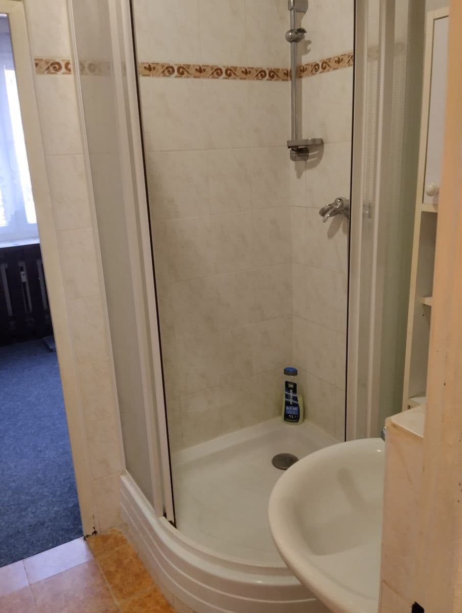 3 bedroom flat for sale, 74 m², Nad Lesním divadlem, Prague, Prague 3 bedroom flat for sale, 74 m², Nad Lesním divadlem, Prague, Prague