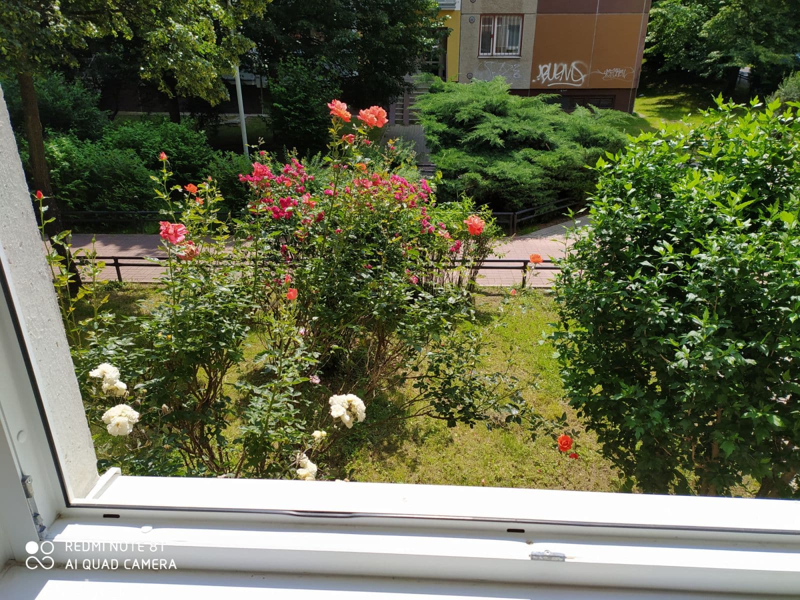 flat to rent, 19 m², Krškova, Prague, Prague flat to rent, 19 m², Krškova, Prague, Prague