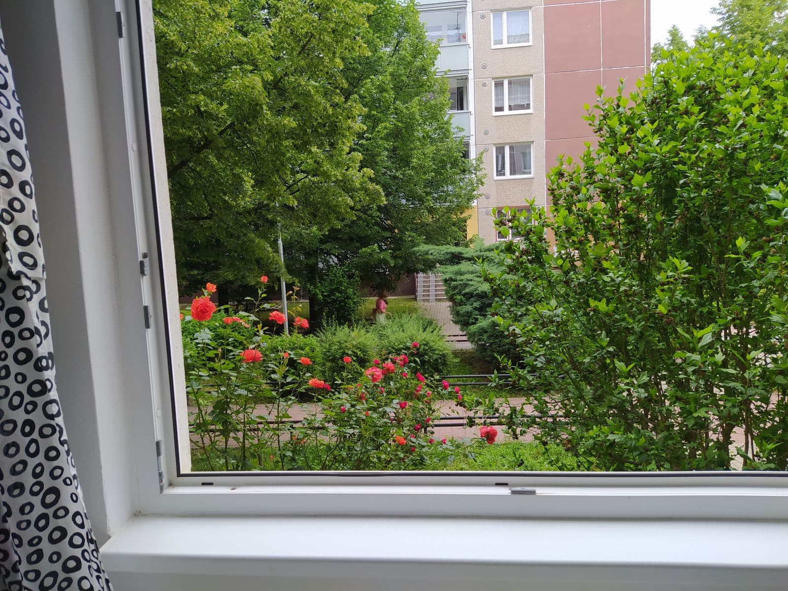 flat to rent, 19 m², Krškova, Prague, Prague flat to rent, 19 m², Krškova, Prague, Prague