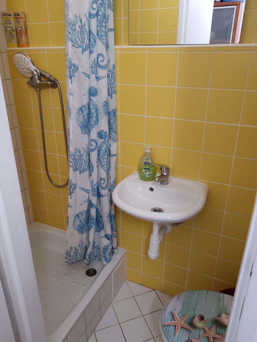 flat to rent, 19 m², Krškova, Prague, Prague flat to rent, 19 m², Krškova, Prague, Prague