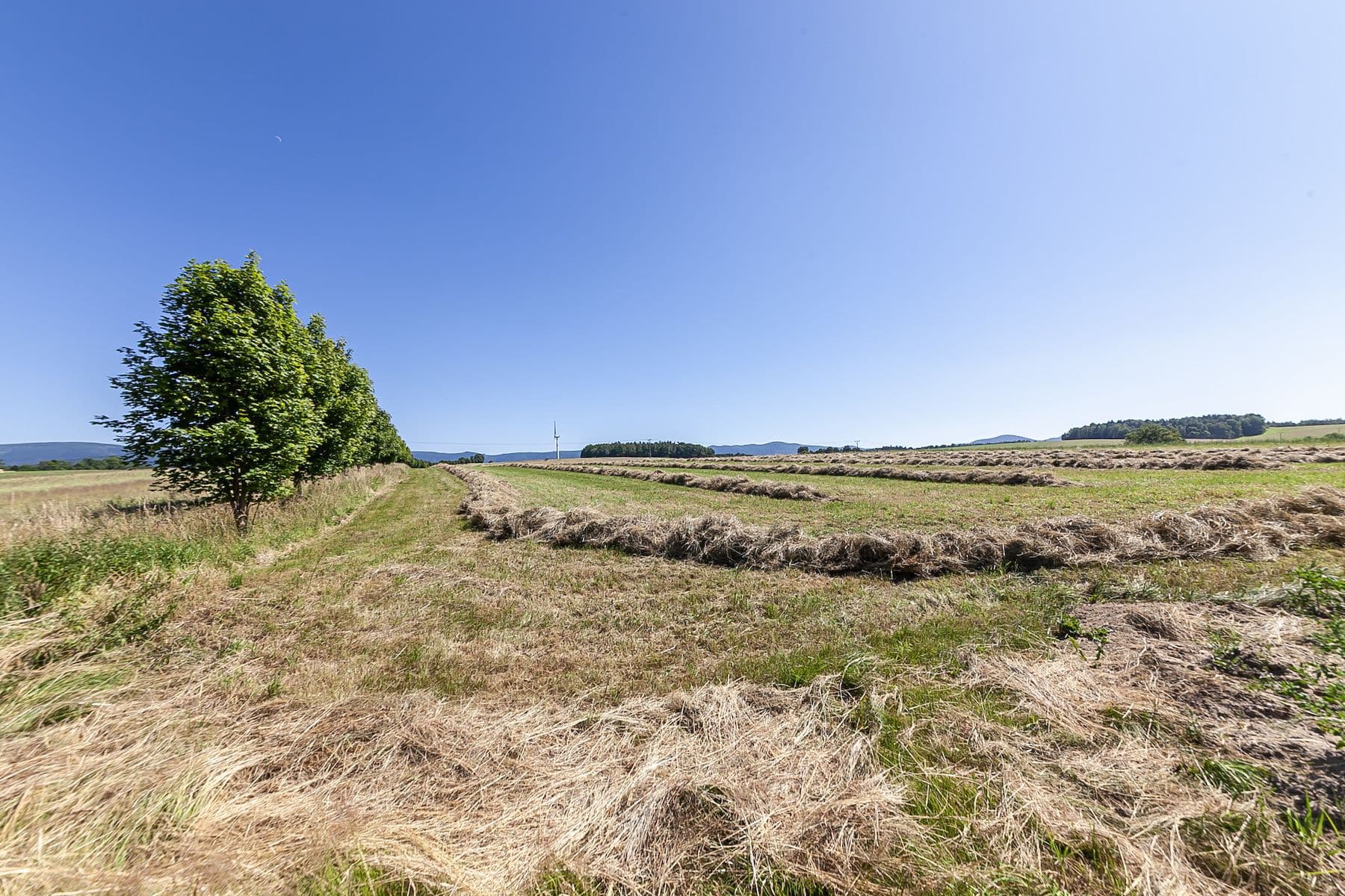 plot for sale, 54,591 m², Krásný Les, Liberecký Region plot for sale, 54,591 m², Krásný Les, Liberecký Region