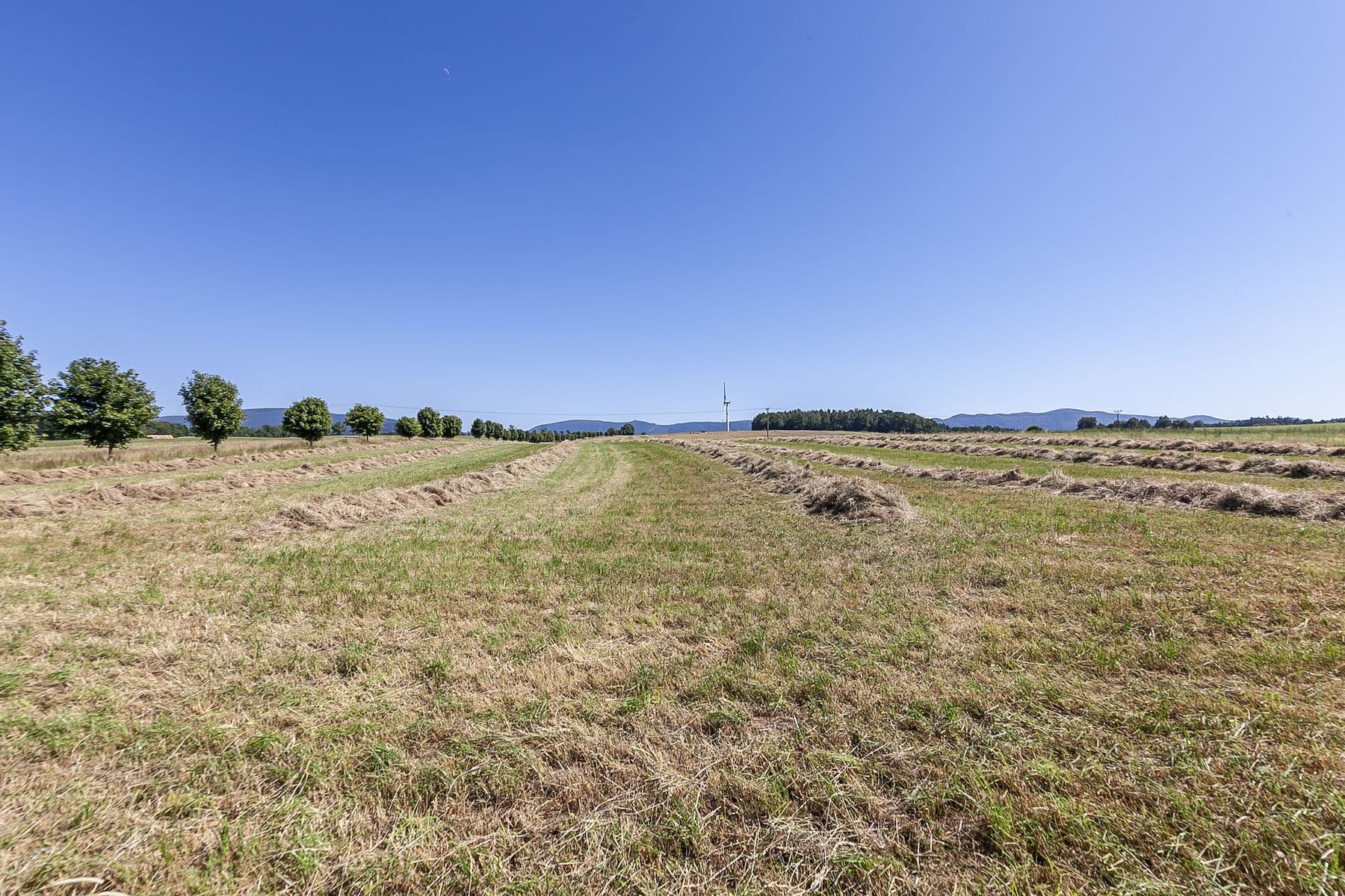 plot for sale, 54,591 m², Krásný Les, Liberecký Region plot for sale, 54,591 m², Krásný Les, Liberecký Region