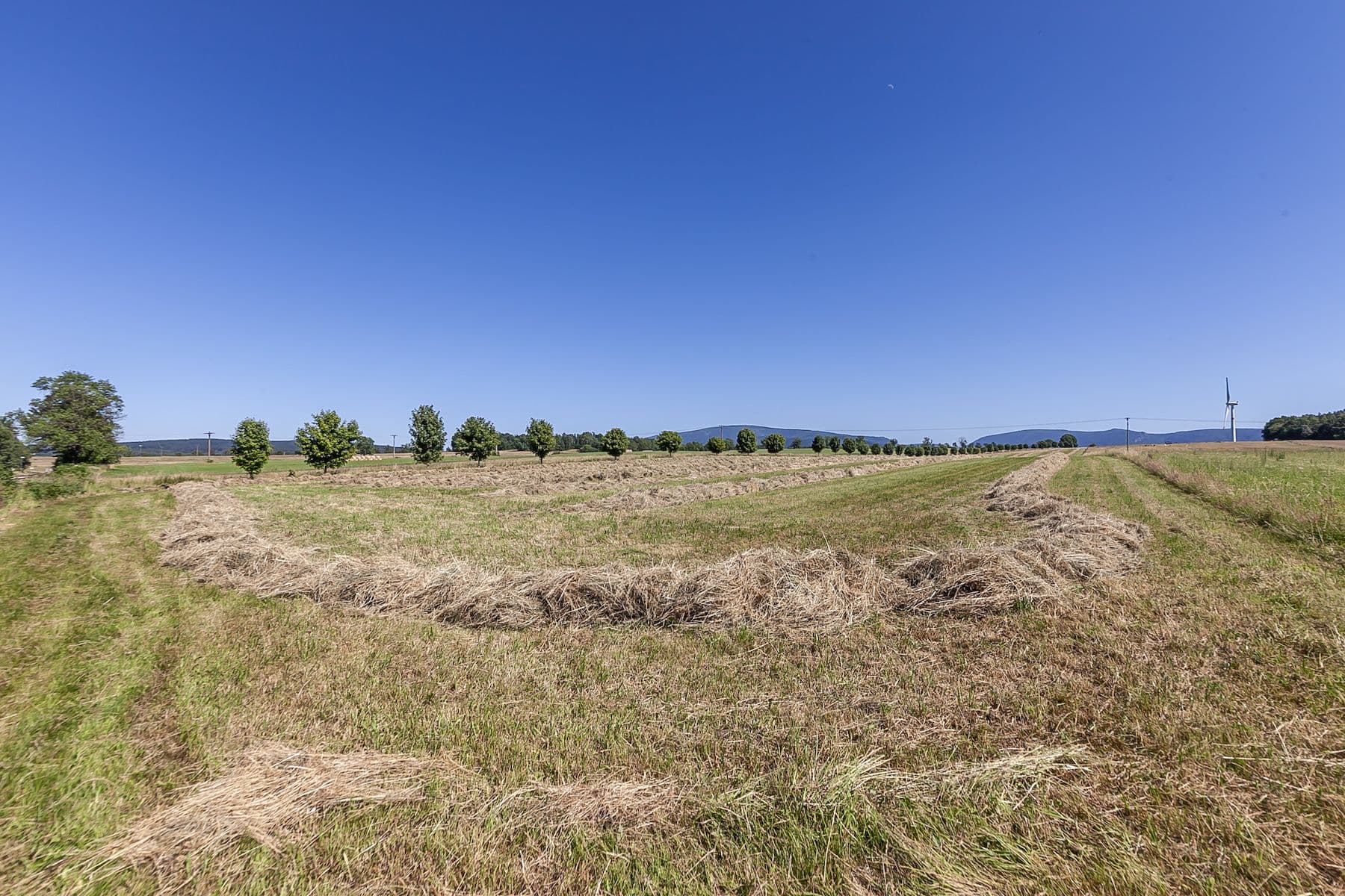 plot for sale, 54,591 m², Krásný Les, Liberecký Region plot for sale, 54,591 m², Krásný Les, Liberecký Region