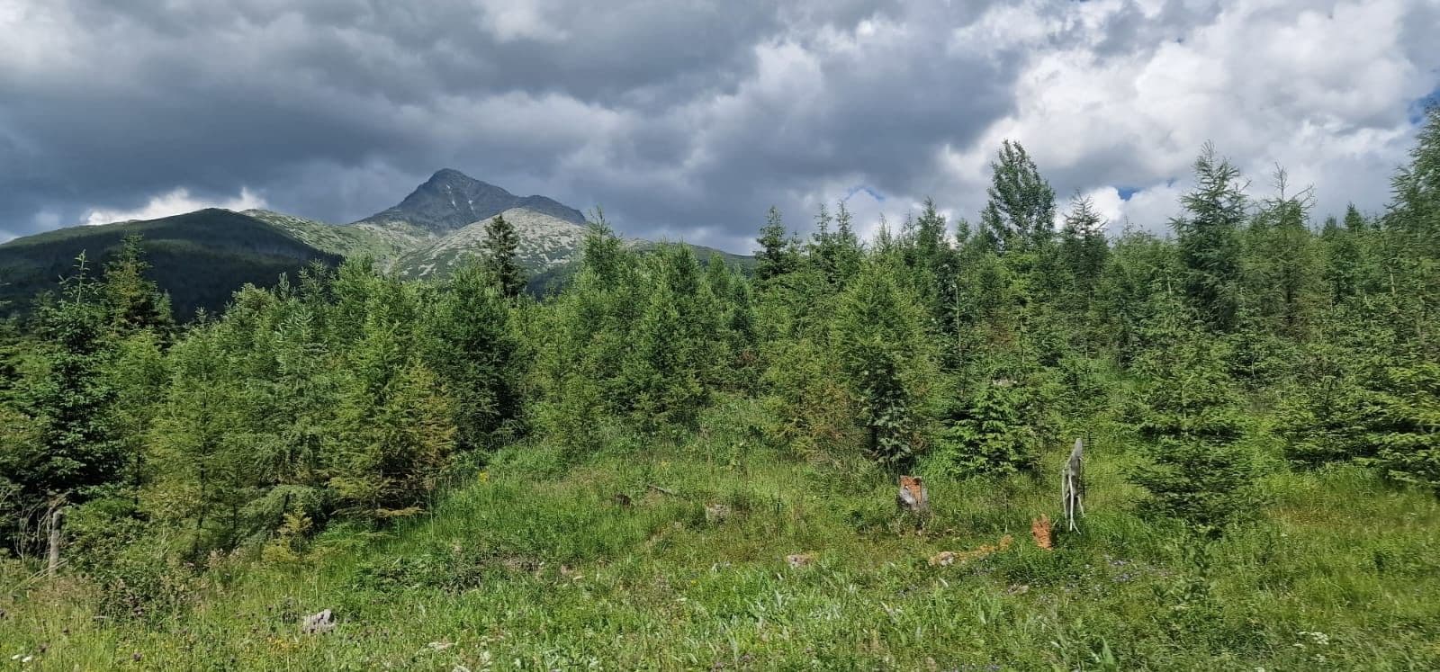 plot for sale, 700 m², Jamník, Žilinský Region plot for sale, 700 m², Jamník, Žilinský Region