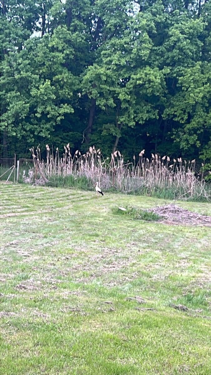 plot for sale, 1,299 m², Sportovní, Stará Ves nad Ondřejnicí, Moravskoslezský Region plot for sale, 1,299 m², Sportovní, Stará Ves nad Ondřejnicí, Moravskoslezský Region