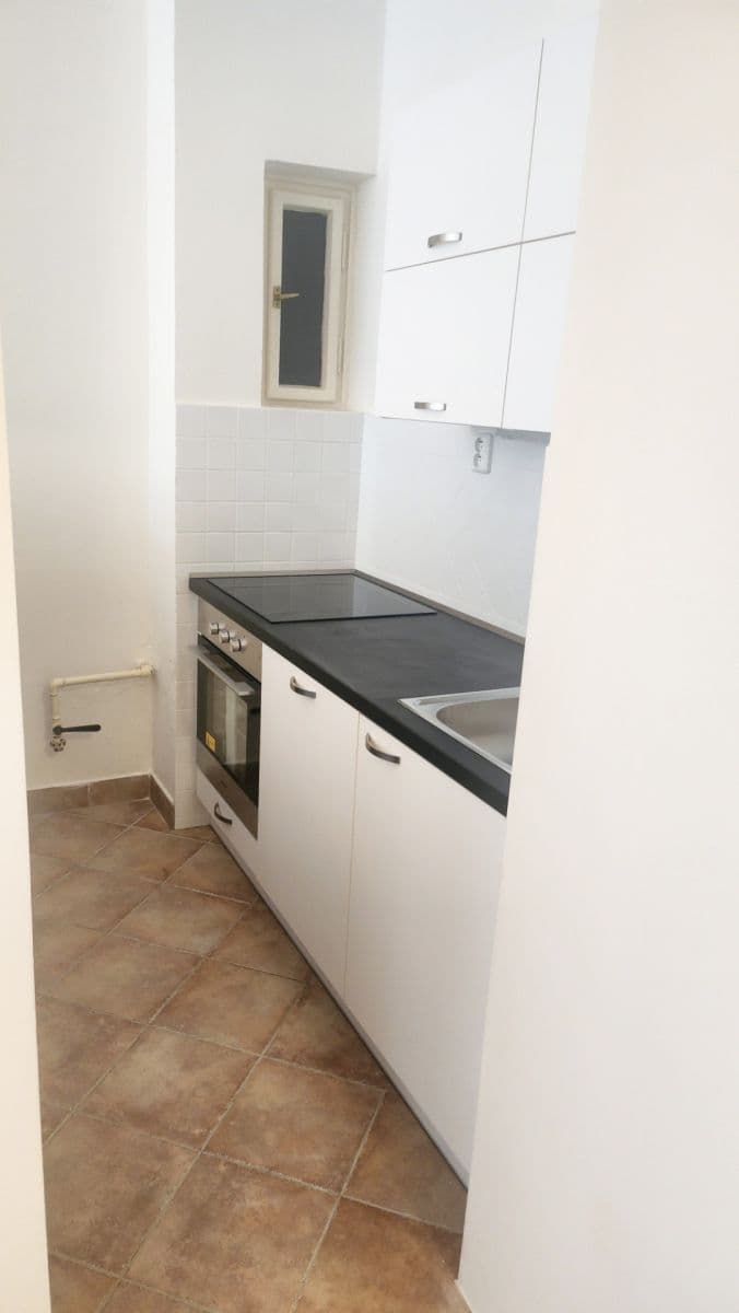 1 bedroom with open-plan kitchen flat to rent, 62 m², Veletržní, Prague, Prague 1 bedroom with open-plan kitchen flat to rent, 62 m², Veletržní, Prague, Prague