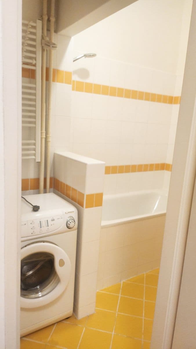 1 bedroom with open-plan kitchen flat to rent, 62 m², Veletržní, Prague, Prague 1 bedroom with open-plan kitchen flat to rent, 62 m², Veletržní, Prague, Prague