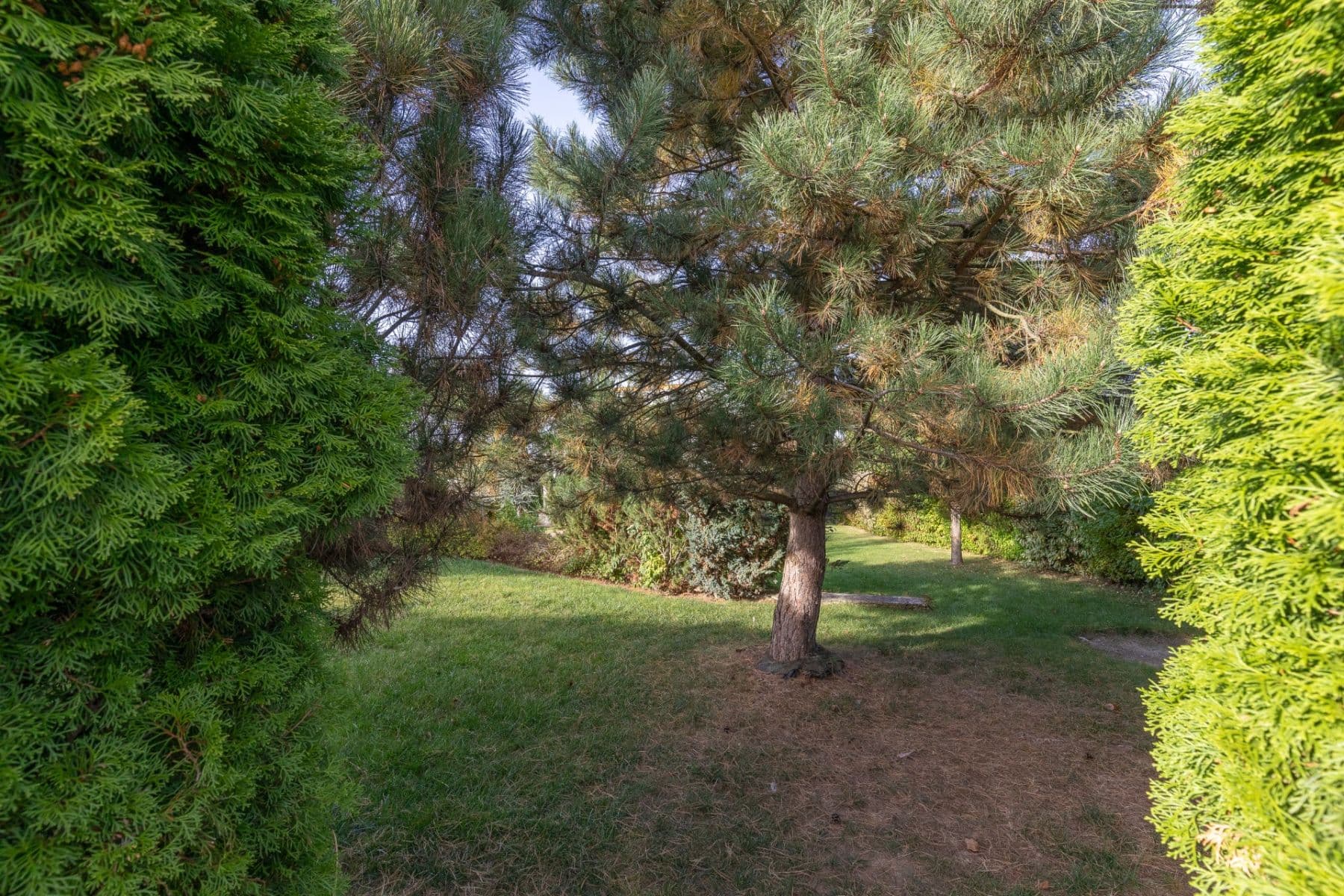 plot for sale, 802 m², Na Vrškách, Zlatníky-Hodkovice, Středočeský Region plot for sale, 802 m², Na Vrškách, Zlatníky-Hodkovice, Středočeský Region