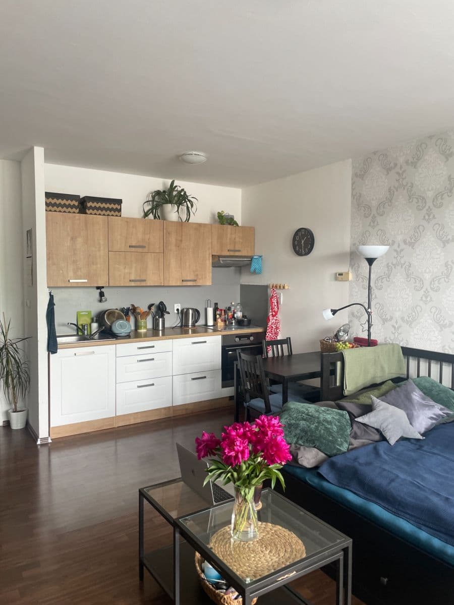 Studio flat to rent, 40 m², Podpěrova, Brno, Jihomoravský Region Studio flat to rent, 40 m², Podpěrova, Brno, Jihomoravský Region