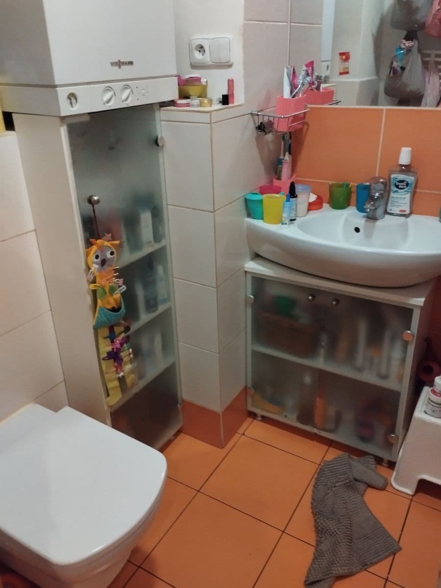 1 bedroom with open-plan kitchen flat to rent, 58 m², Holečkova, Prague, Prague 1 bedroom with open-plan kitchen flat to rent, 58 m², Holečkova, Prague, Prague