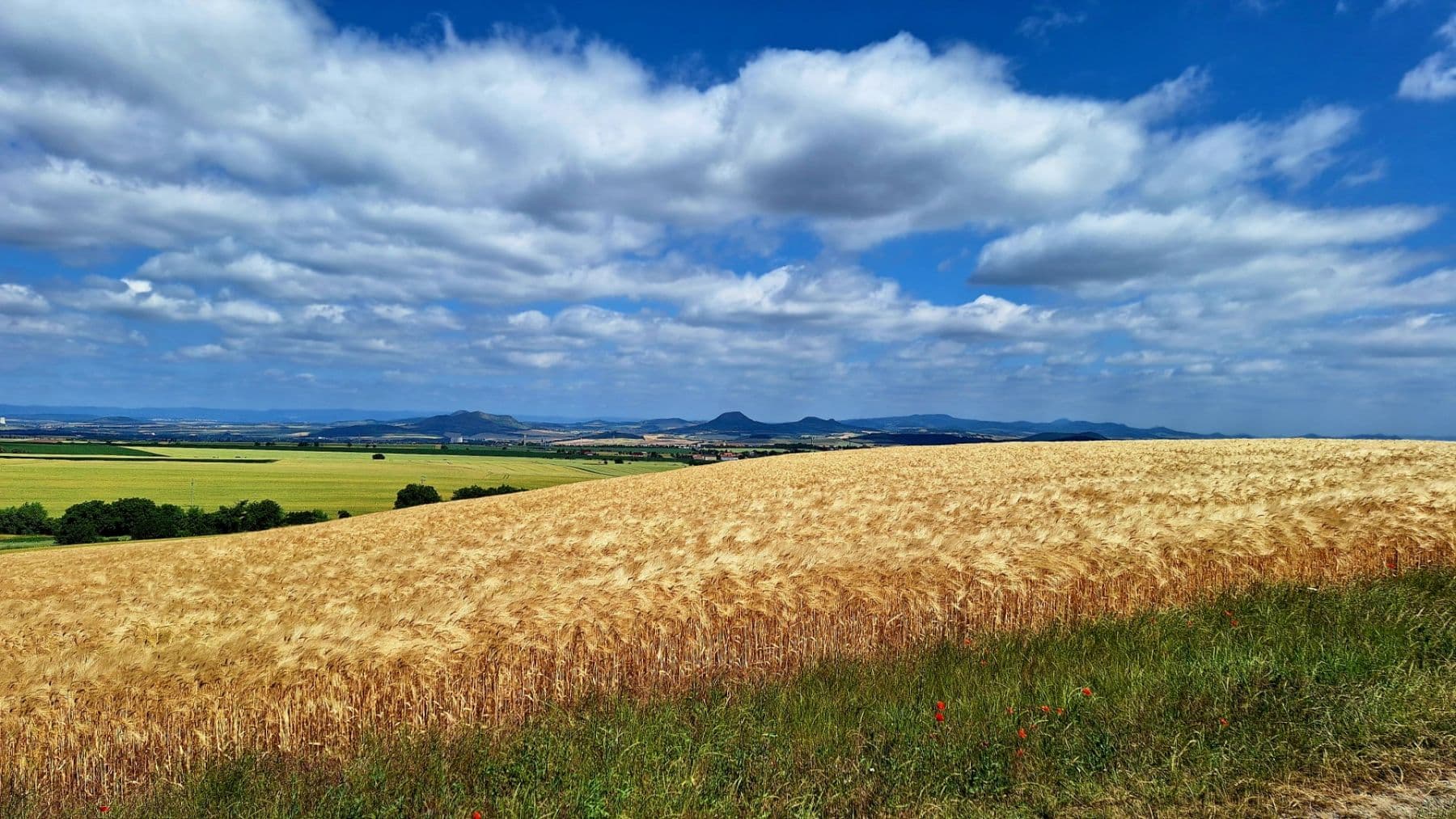 plot to rent, 1,187 m², Líšťany, Ústecký Region plot to rent, 1,187 m², Líšťany, Ústecký Region