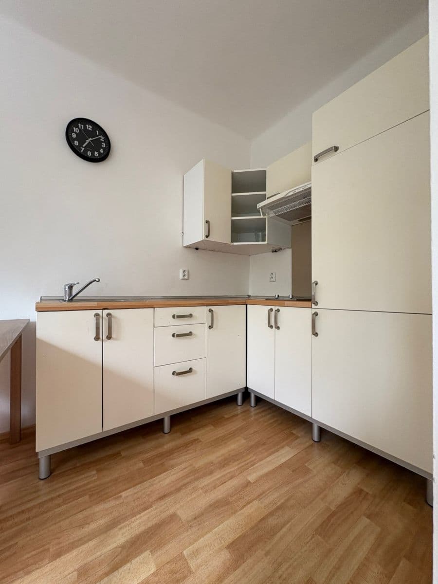 1 bedroom with open-plan kitchen flat to rent, 42 m², Humpolecká, Prague, Prague 1 bedroom with open-plan kitchen flat to rent, 42 m², Humpolecká, Prague, Prague