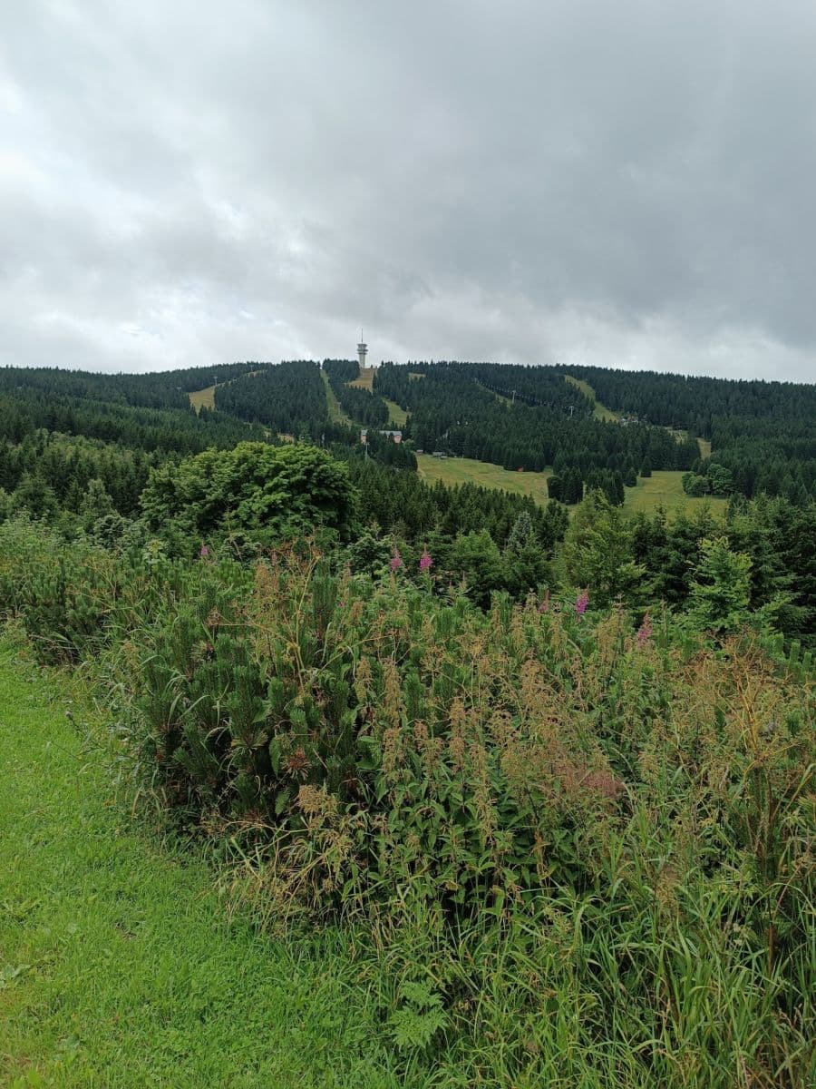 1 bedroom with open-plan kitchen flat to rent, 51 m², Loučná pod Klínovcem, Ústecký Region 1 bedroom with open-plan kitchen flat to rent, 51 m², Loučná pod Klínovcem, Ústecký Region