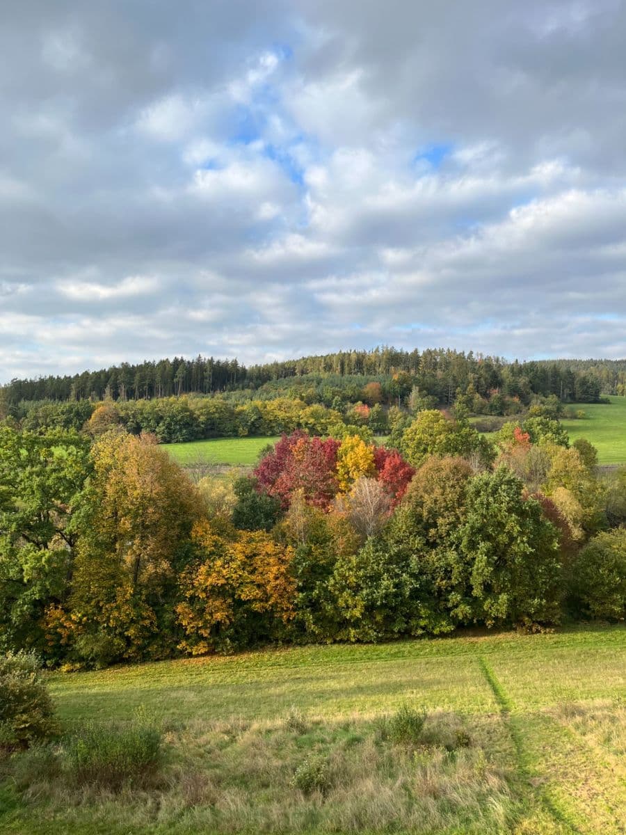 3 bedroom flat for sale, 69 m², Kosova Hora, Středočeský Region 3 bedroom flat for sale, 69 m², Kosova Hora, Středočeský Region