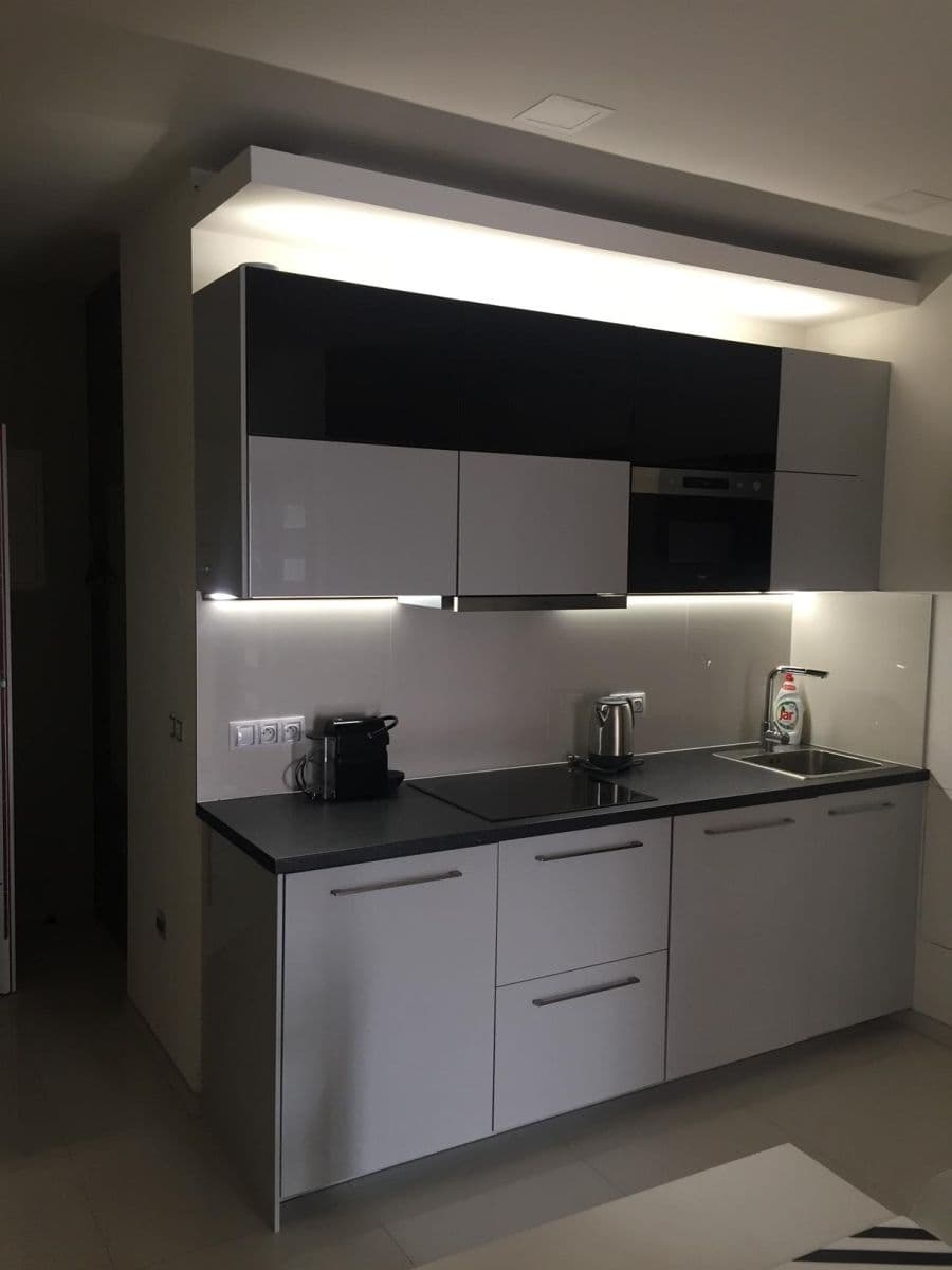 2 bedroom with open-plan kitchen flat to rent, 46 m², Sokolovská, Prague, Prague 2 bedroom with open-plan kitchen flat to rent, 46 m², Sokolovská, Prague, Prague