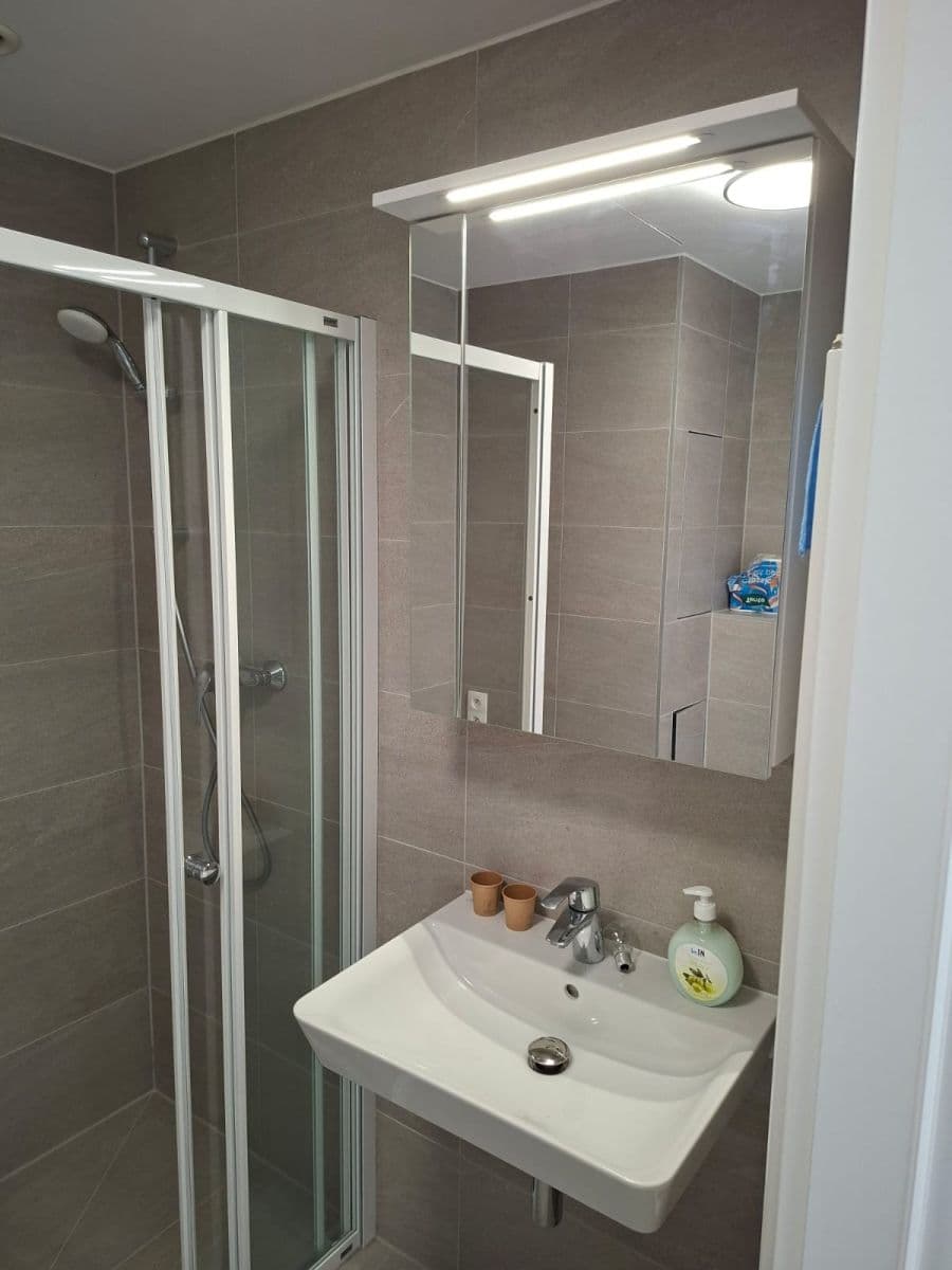 Studio flat to rent, 39 m², Milánská, Prague, Prague Studio flat to rent, 39 m², Milánská, Prague, Prague