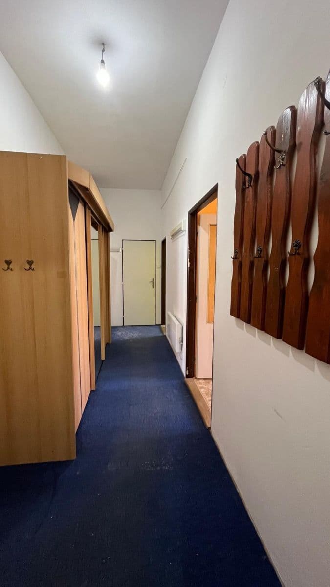 1 bedroom with open-plan kitchen flat to rent, 60 m², Rostislavova, Prague, Prague 1 bedroom with open-plan kitchen flat to rent, 60 m², Rostislavova, Prague, Prague