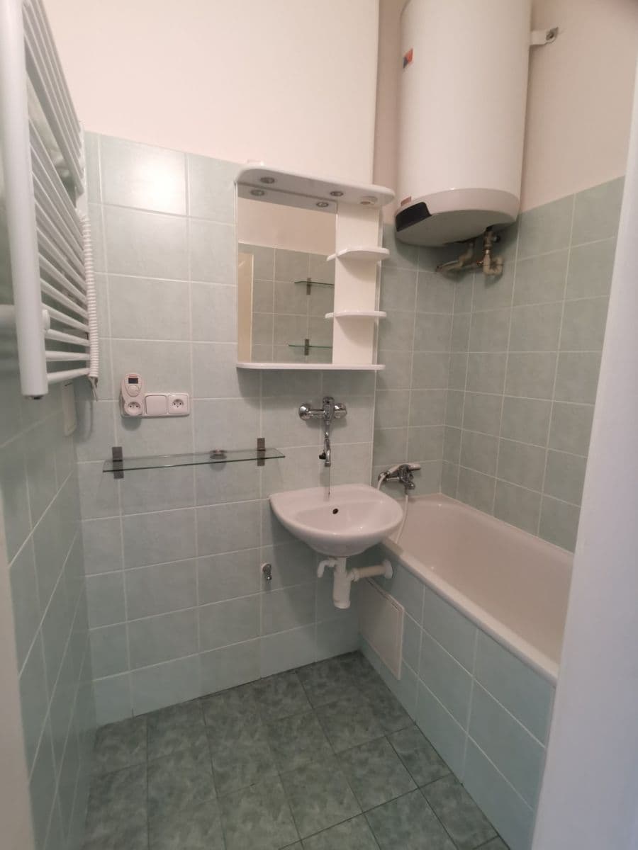 1 bedroom flat to rent, 40 m², Na Míčánkách, Prague, Prague 1 bedroom flat to rent, 40 m², Na Míčánkách, Prague, Prague