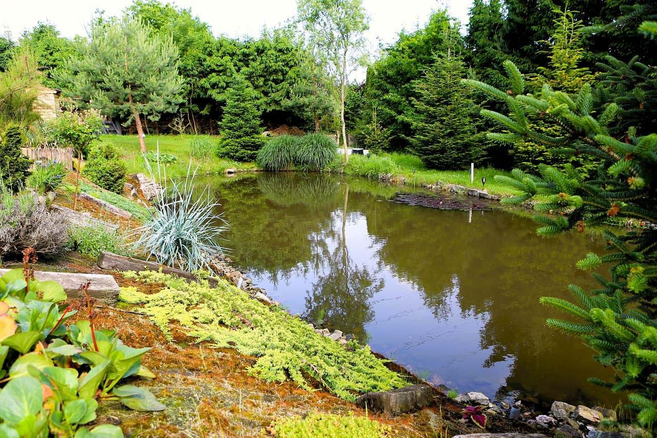 recreational property to rent, 0 m², Jindřichův Hradec, Jihočeský Region recreational property to rent, 0 m², Jindřichův Hradec, Jihočeský Region