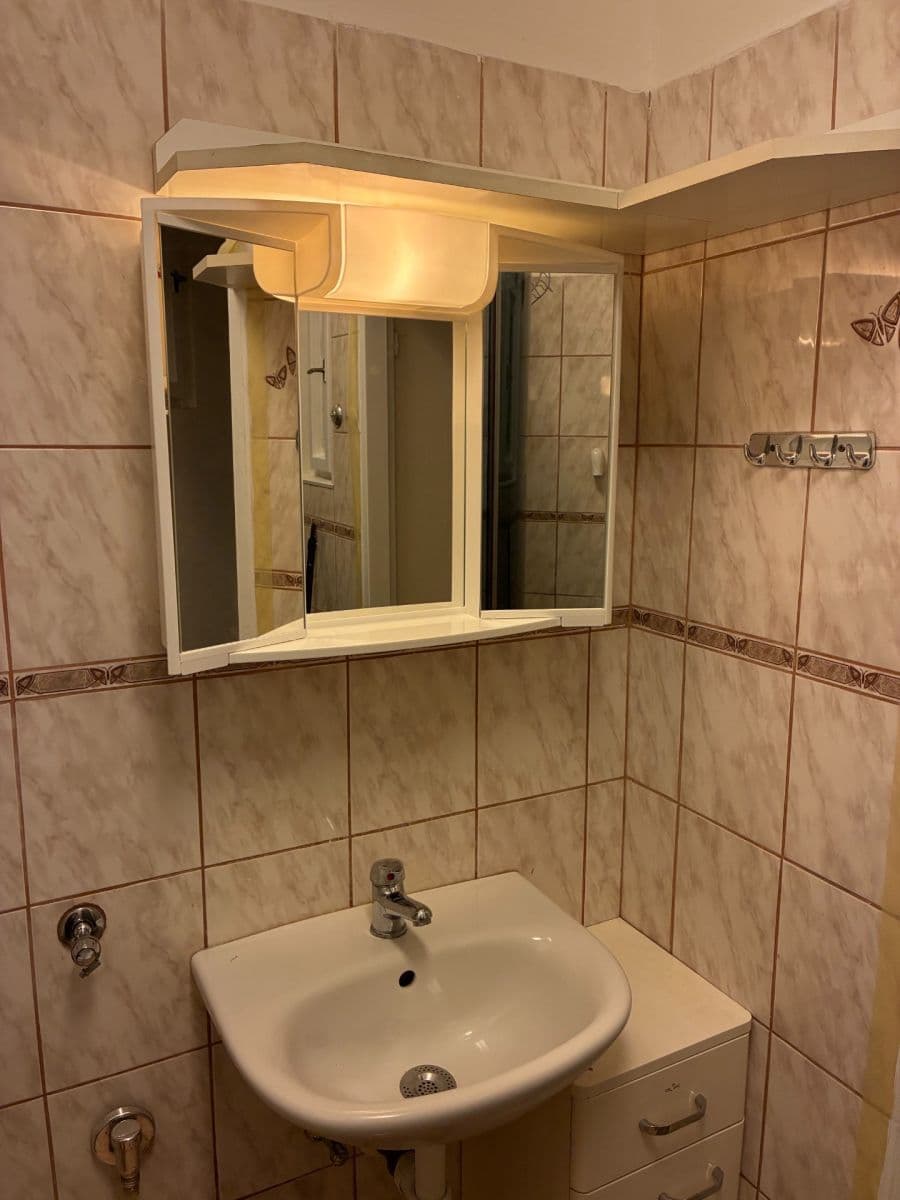 Studio flat to rent, 25 m², U Jezerky, Prague, Prague Studio flat to rent, 25 m², U Jezerky, Prague, Prague