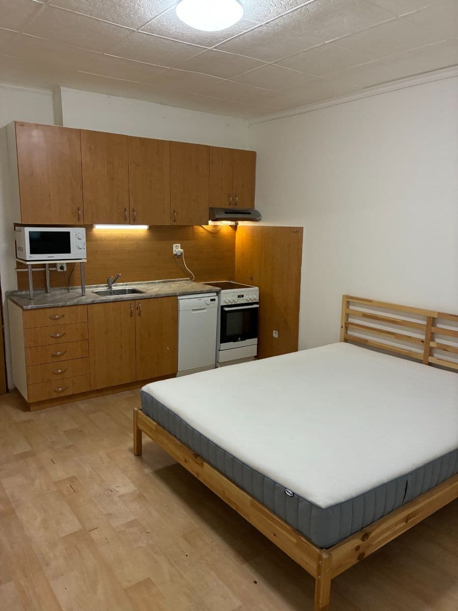 Studio flat to rent, 25 m², U Jezerky, Prague, Prague Studio flat to rent, 25 m², U Jezerky, Prague, Prague