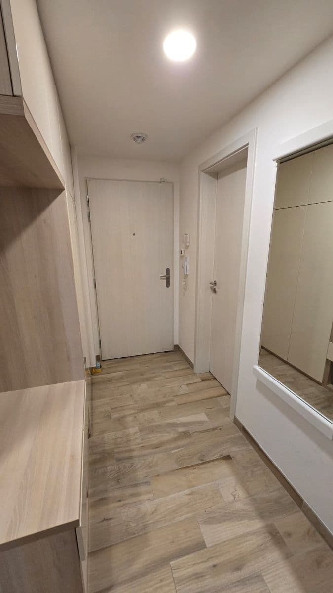 2 bedroom with open-plan kitchen flat to rent, 69 m², Do Zahrádek Ⅰ, Prague, Prague 2 bedroom with open-plan kitchen flat to rent, 69 m², Do Zahrádek Ⅰ, Prague, Prague