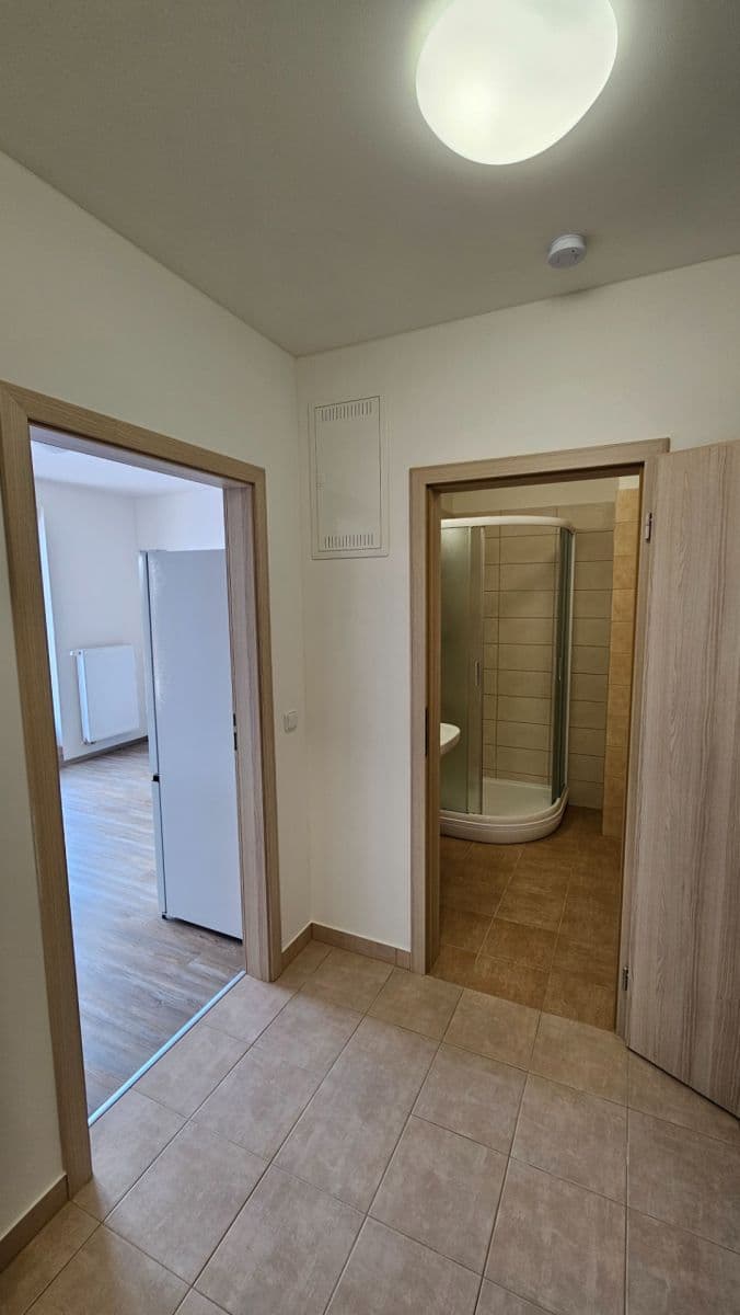 1 bedroom with open-plan kitchen flat to rent, 33 m², Sinkulova, Prague, Prague 1 bedroom with open-plan kitchen flat to rent, 33 m², Sinkulova, Prague, Prague