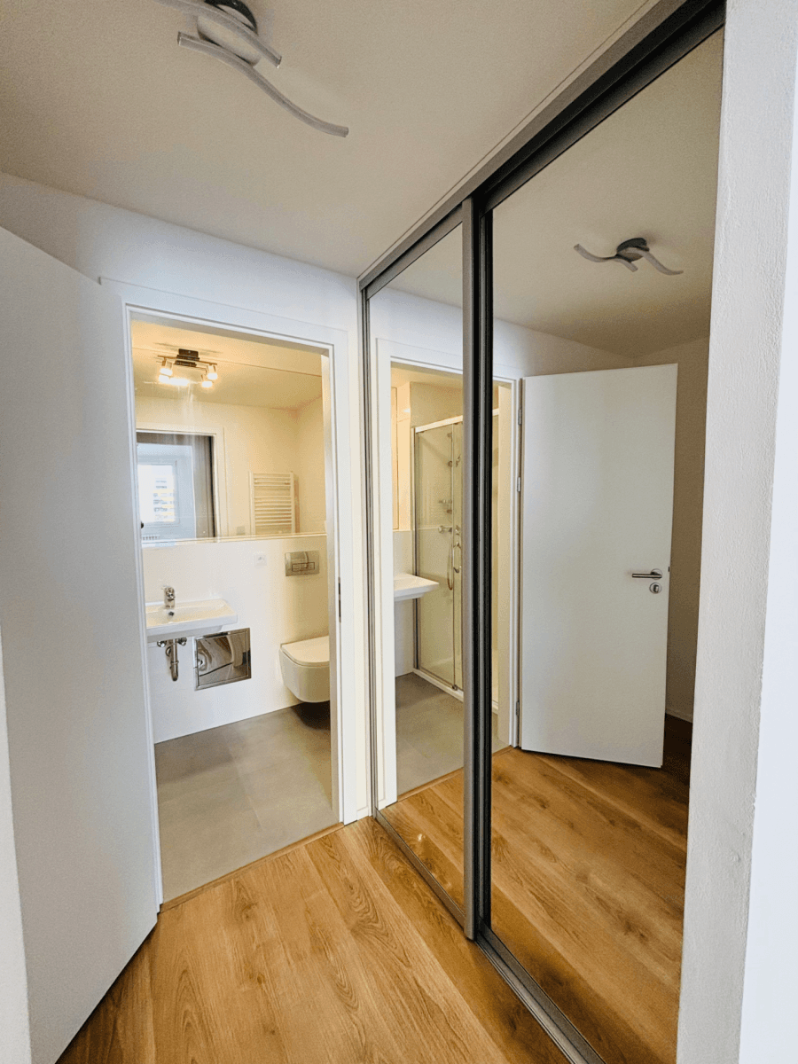 1 bedroom with open-plan kitchen flat to rent, 47 m², Čenětická, Prague, Prague 1 bedroom with open-plan kitchen flat to rent, 47 m², Čenětická, Prague, Prague