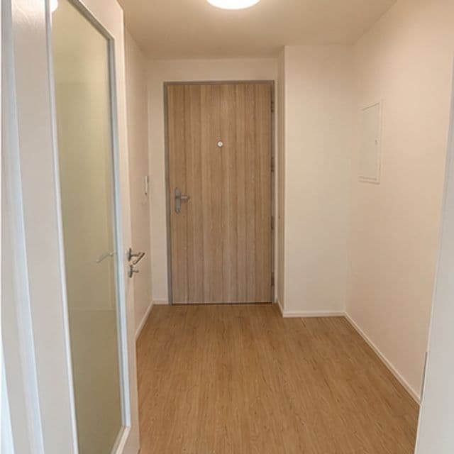 1 bedroom with open-plan kitchen flat to rent, 54 m², Plzeňská, Prague, Prague 1 bedroom with open-plan kitchen flat to rent, 54 m², Plzeňská, Prague, Prague