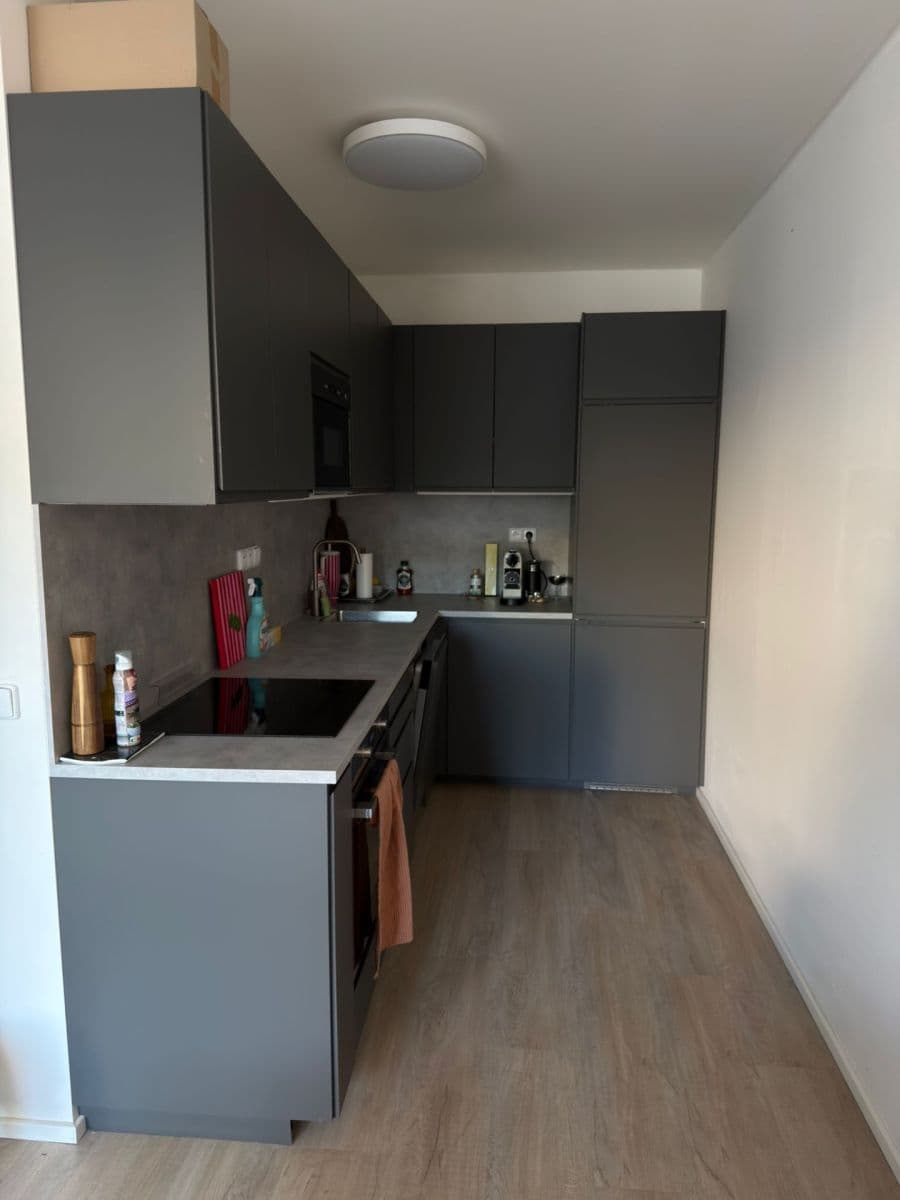 1 bedroom with open-plan kitchen flat to rent, 54 m², Plzeňská, Prague, Prague 1 bedroom with open-plan kitchen flat to rent, 54 m², Plzeňská, Prague, Prague