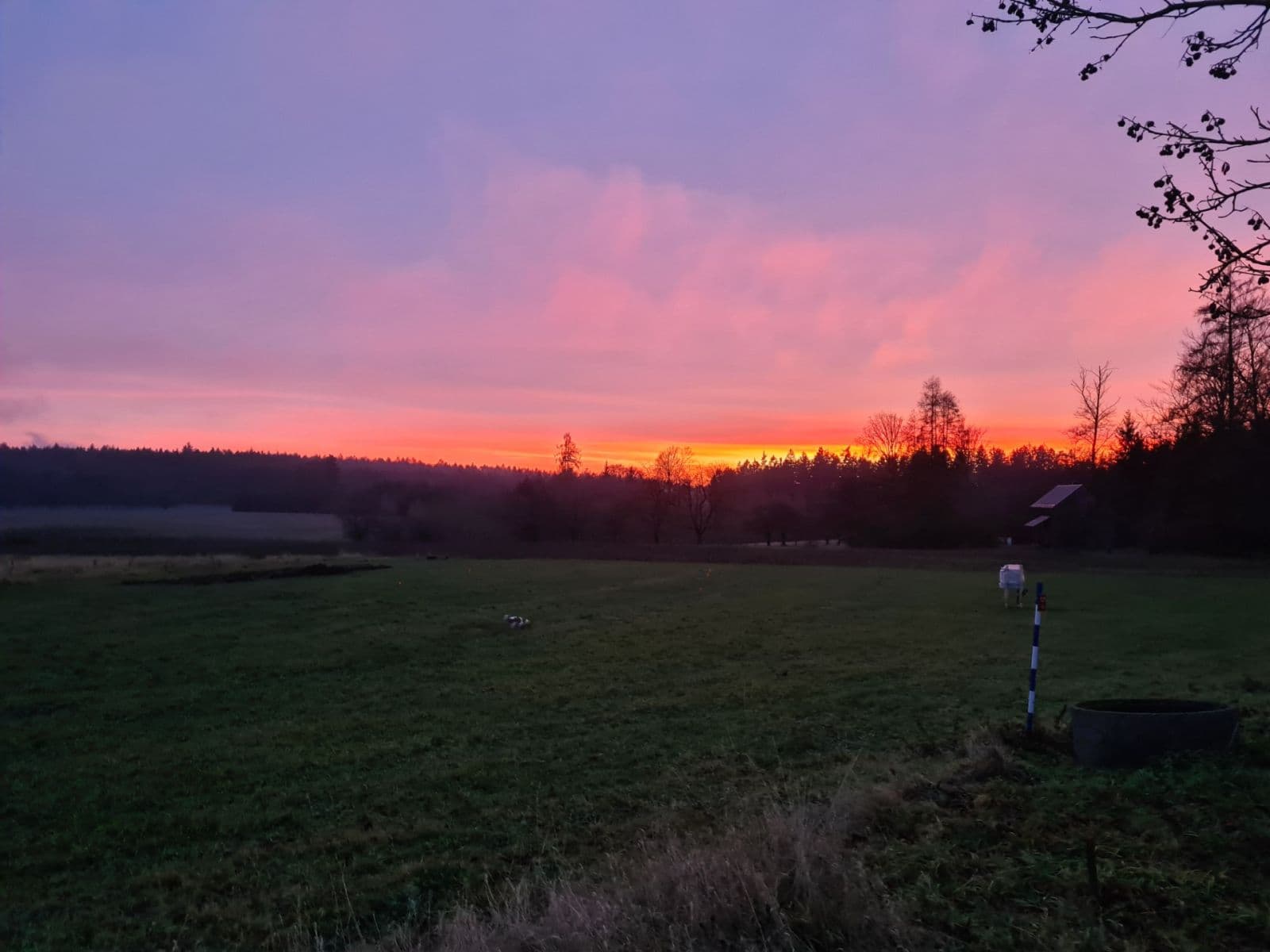 plot for sale, 1,488 m², Lično, Královéhradecký Region plot for sale, 1,488 m², Lično, Královéhradecký Region