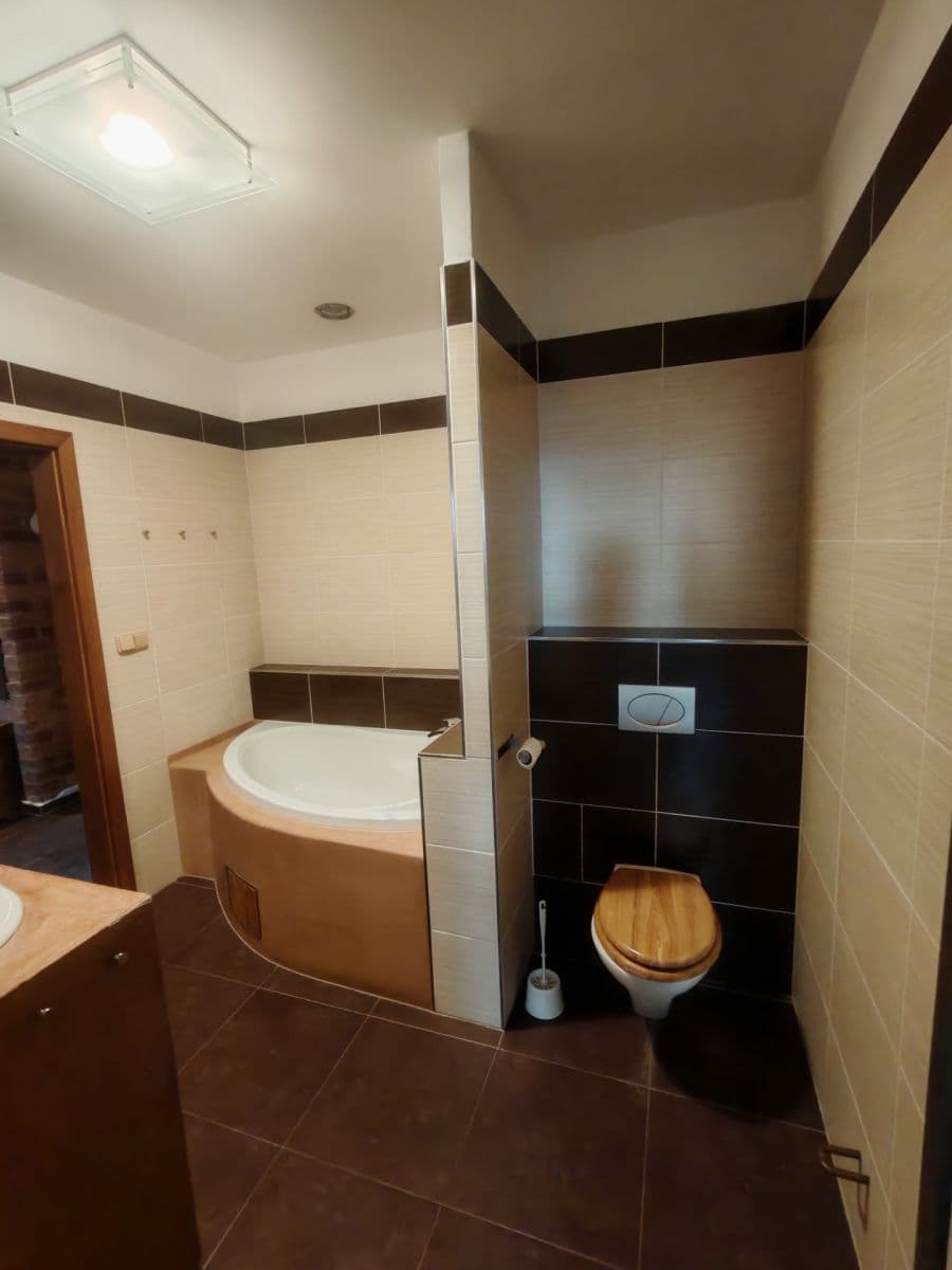 1 bedroom with open-plan kitchen flat to rent, 95 m², Praskova, Olomouc, Olomoucký Region 1 bedroom with open-plan kitchen flat to rent, 95 m², Praskova, Olomouc, Olomoucký Region