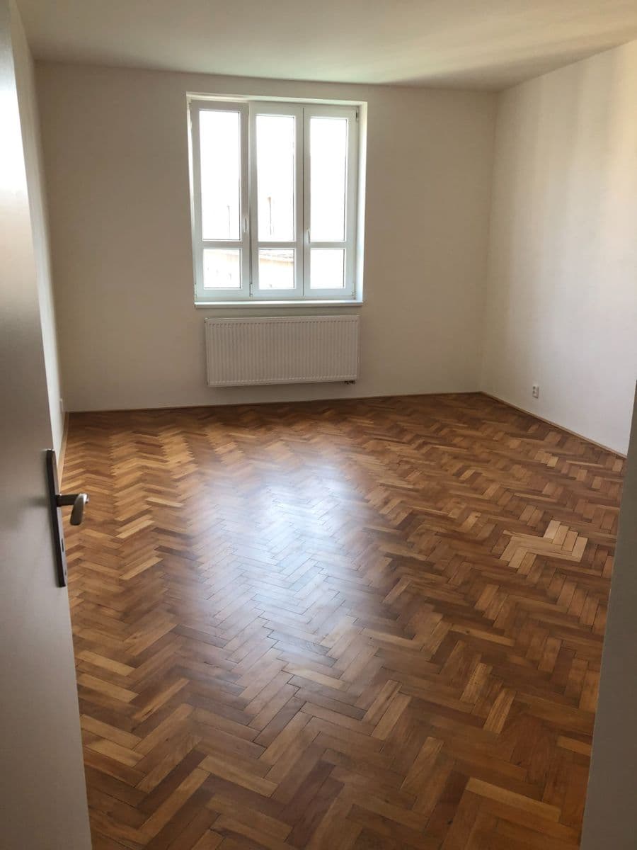 1 bedroom with open-plan kitchen flat to rent, 48 m², Dolní, Prague, Prague 1 bedroom with open-plan kitchen flat to rent, 48 m², Dolní, Prague, Prague