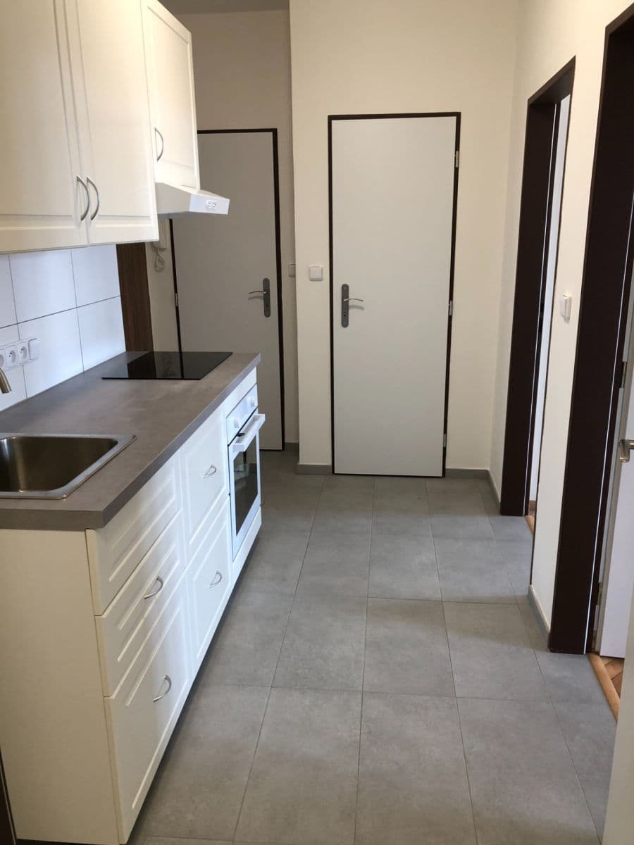 1 bedroom with open-plan kitchen flat to rent, 48 m², Dolní, Prague, Prague 1 bedroom with open-plan kitchen flat to rent, 48 m², Dolní, Prague, Prague