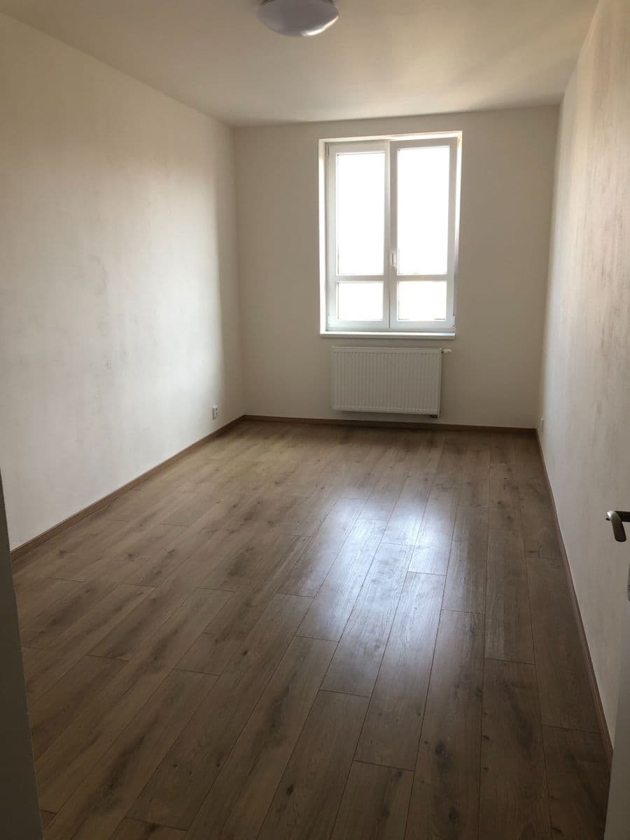 1 bedroom with open-plan kitchen flat to rent, 48 m², Dolní, Prague, Prague 1 bedroom with open-plan kitchen flat to rent, 48 m², Dolní, Prague, Prague