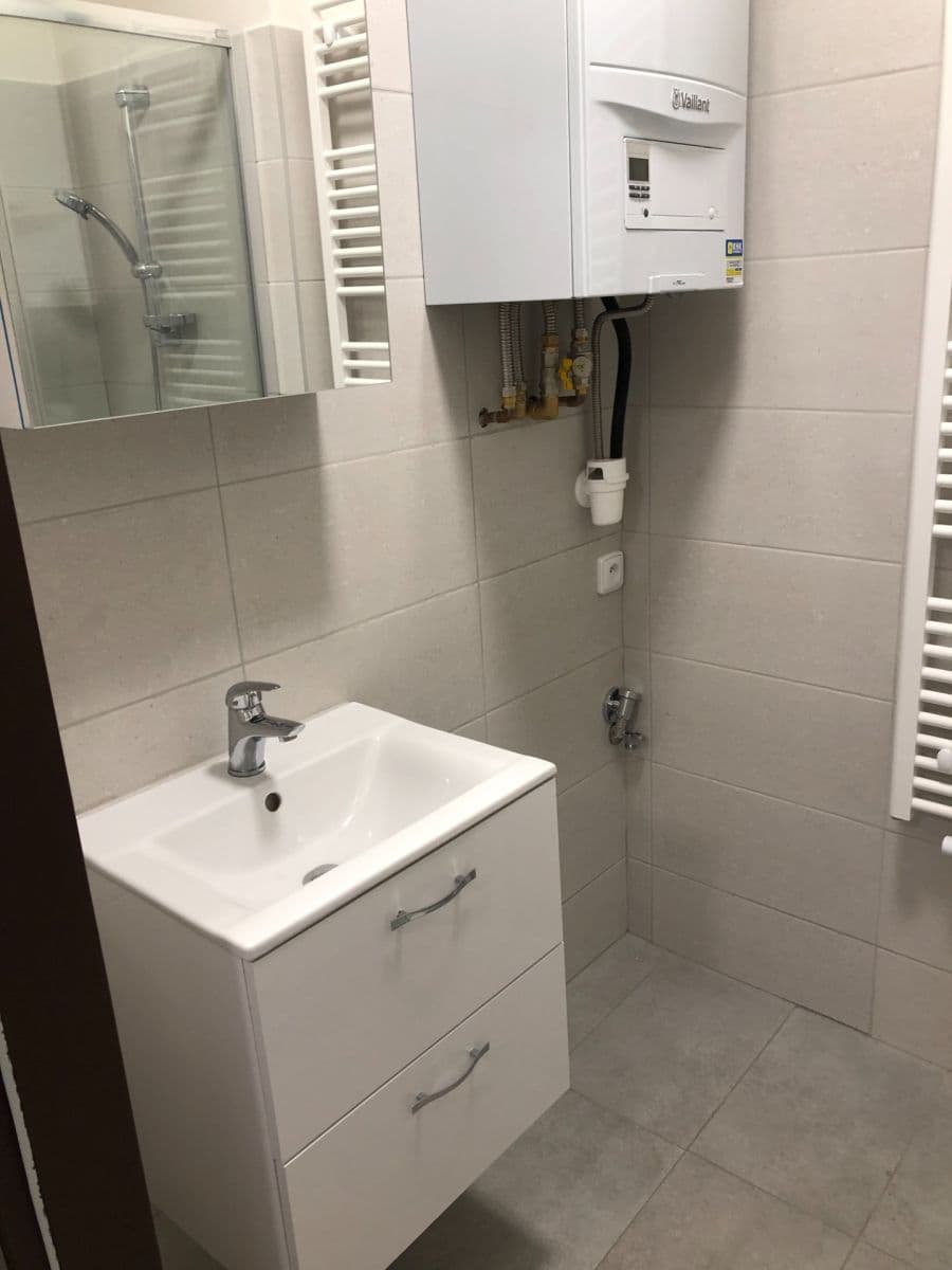 1 bedroom with open-plan kitchen flat to rent, 48 m², Dolní, Prague, Prague 1 bedroom with open-plan kitchen flat to rent, 48 m², Dolní, Prague, Prague