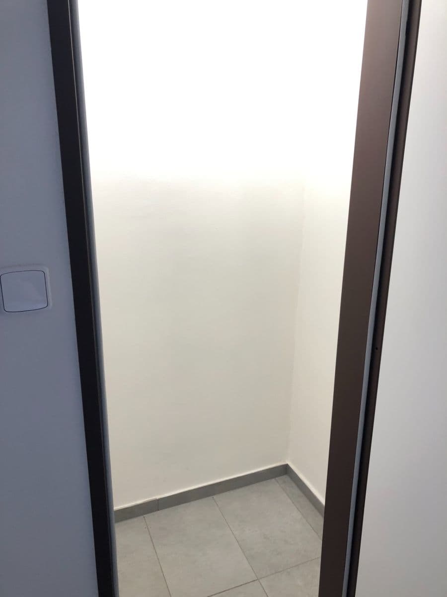 1 bedroom with open-plan kitchen flat to rent, 48 m², Dolní, Prague, Prague 1 bedroom with open-plan kitchen flat to rent, 48 m², Dolní, Prague, Prague