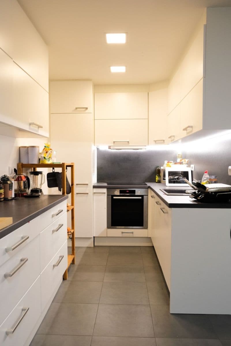 1 bedroom with open-plan kitchen flat to rent, 45 m², Hráského, Prague, Prague 1 bedroom with open-plan kitchen flat to rent, 45 m², Hráského, Prague, Prague