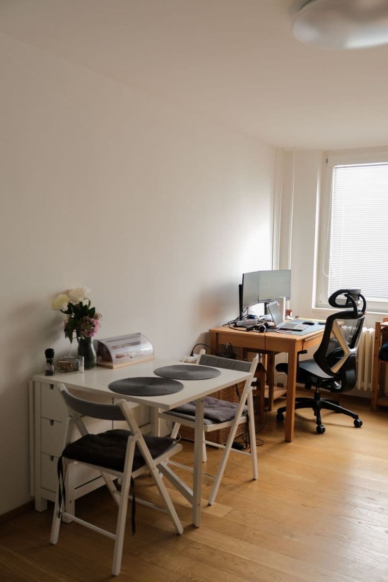 1 bedroom with open-plan kitchen flat to rent, 45 m², Hráského, Prague, Prague 1 bedroom with open-plan kitchen flat to rent, 45 m², Hráského, Prague, Prague