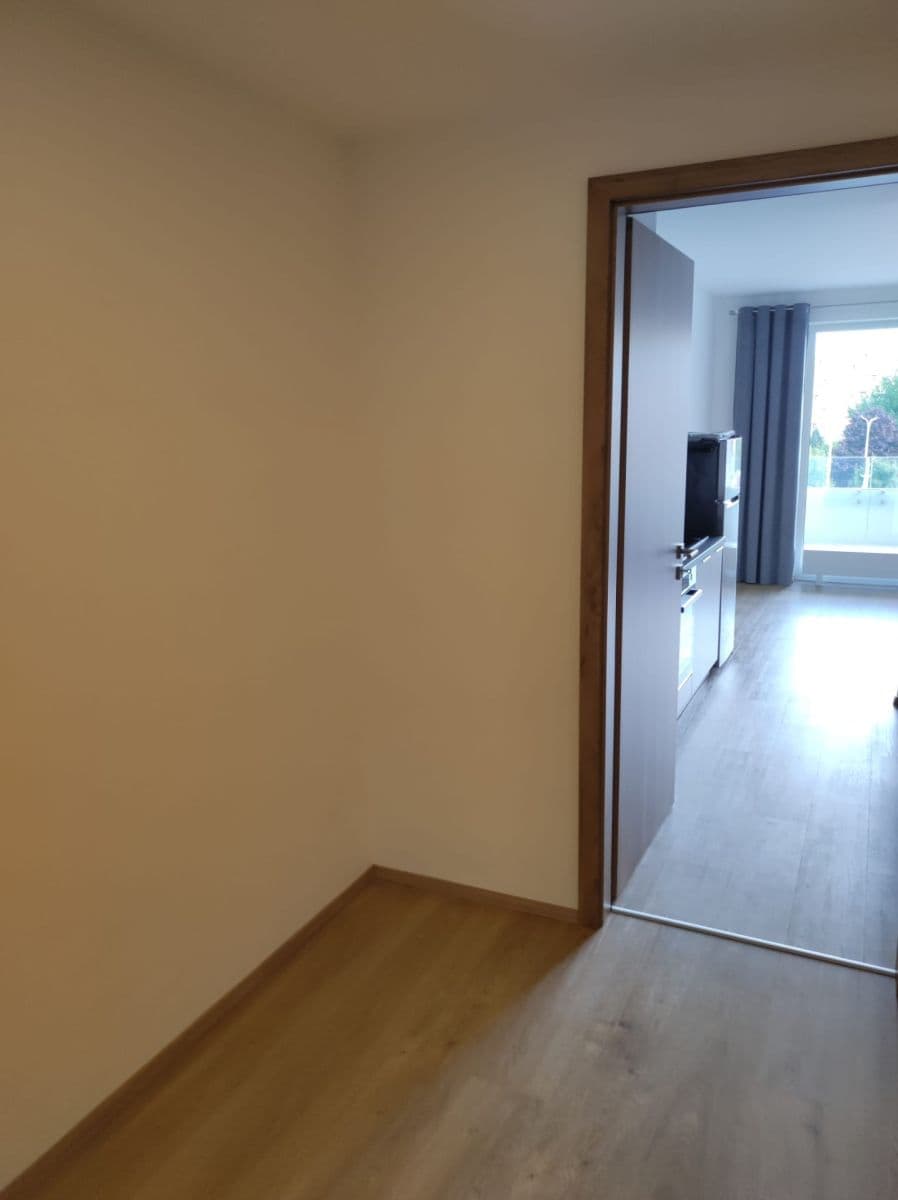 Studio flat to rent, 35 m², třída Generála Píky, Brno, Jihomoravský Region Studio flat to rent, 35 m², třída Generála Píky, Brno, Jihomoravský Region