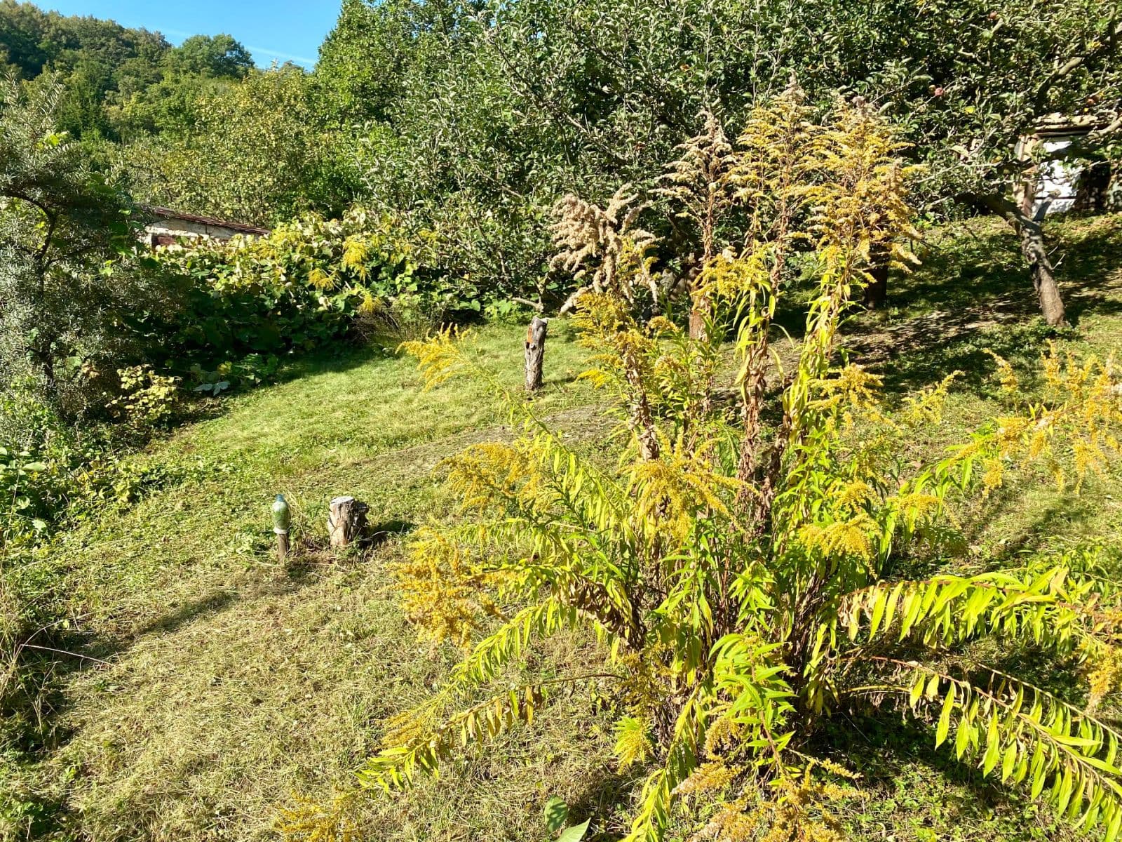 recreational property for sale, 492 m², Devonská, Prague, Prague recreational property for sale, 492 m², Devonská, Prague, Prague