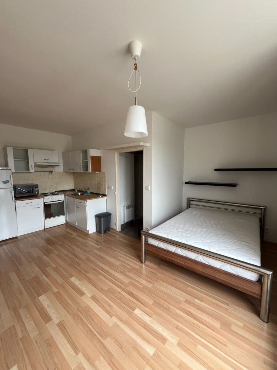 Studio flat to rent, 55 m², Pod Homolkou, Prague, Prague Studio flat to rent, 55 m², Pod Homolkou, Prague, Prague