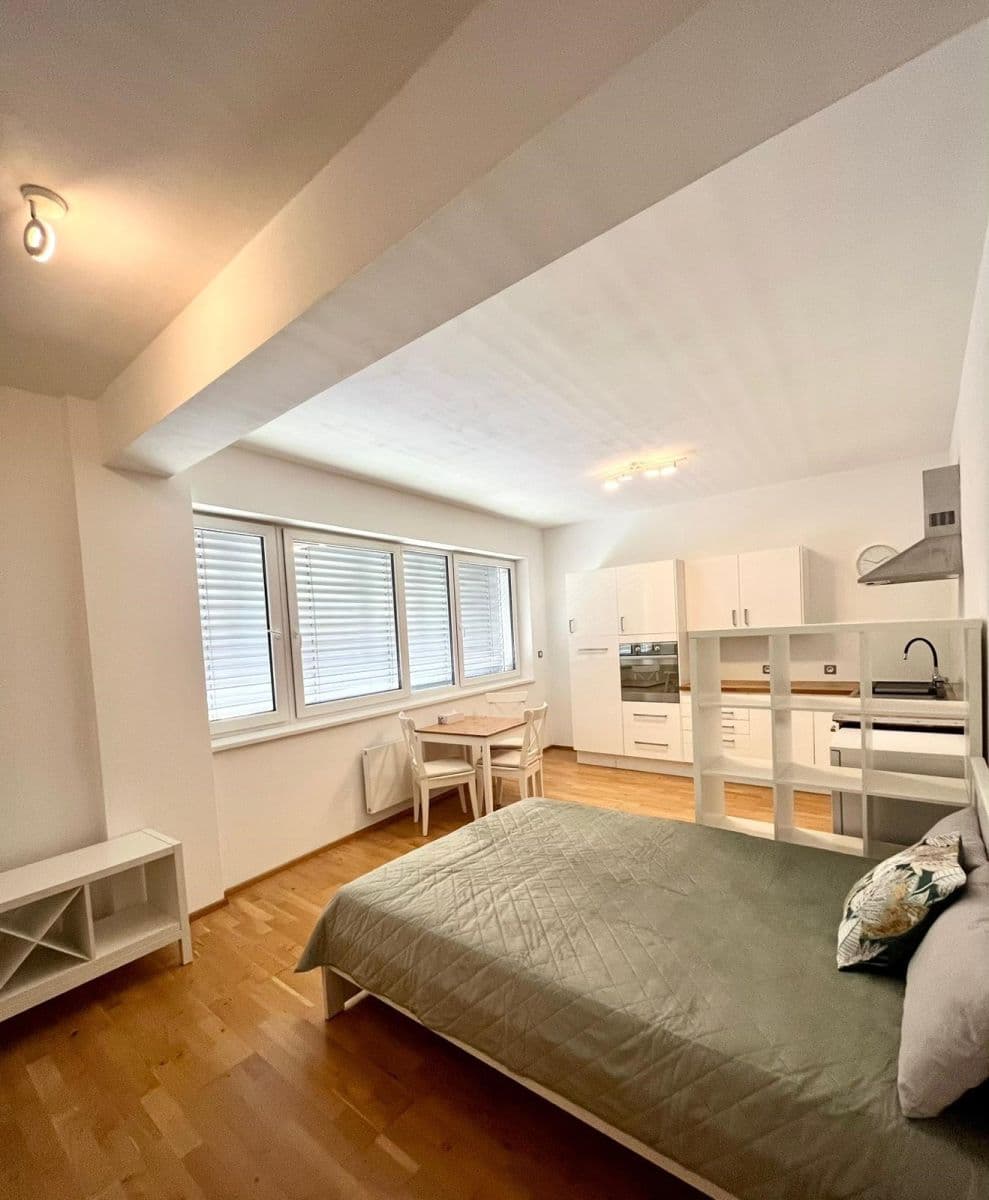 Studio flat to rent, 37 m², Palackého třída, Brno, Jihomoravský Region Studio flat to rent, 37 m², Palackého třída, Brno, Jihomoravský Region
