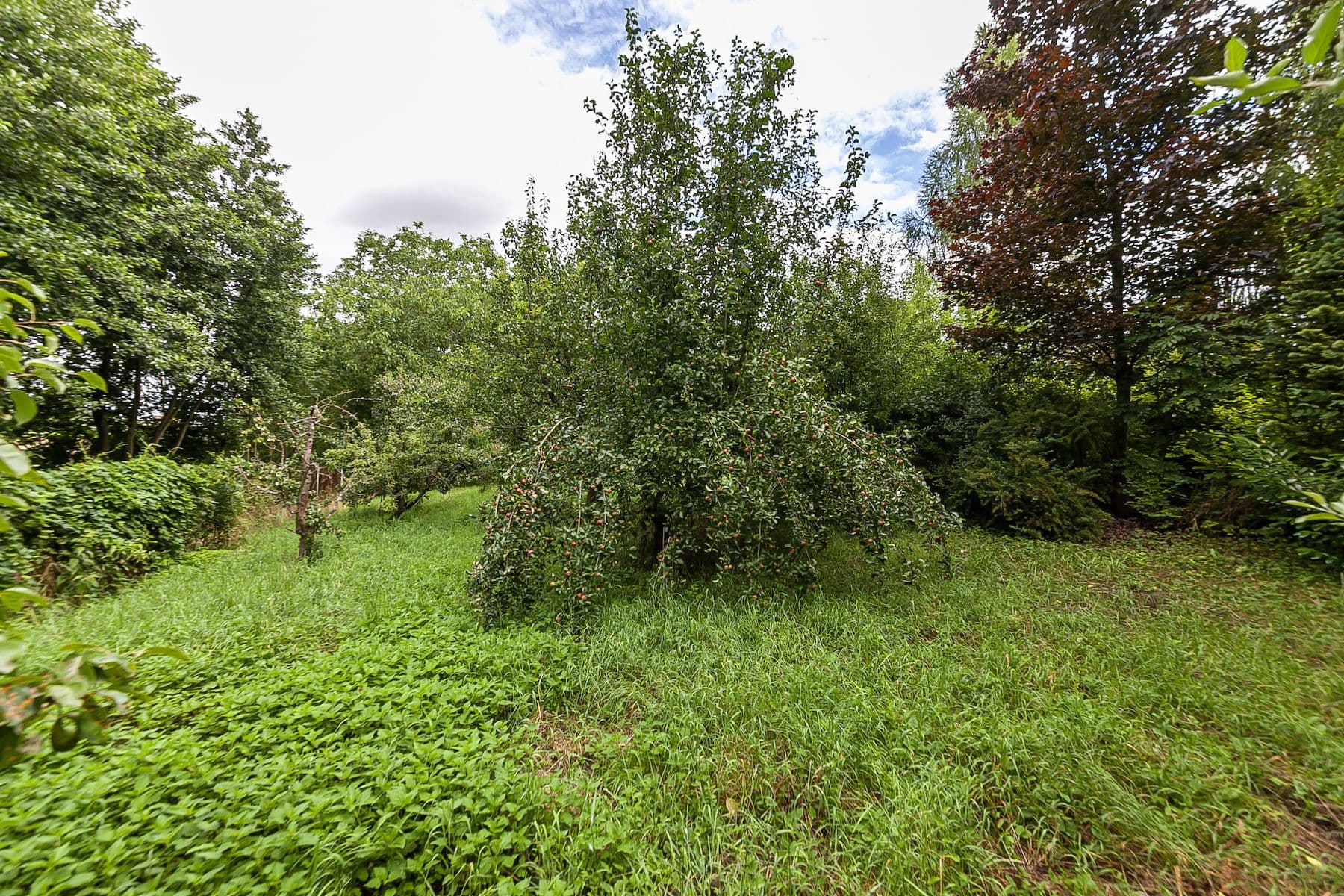 plot for sale, 2,621 m², Únětice, Údrnice, Královéhradecký Region plot for sale, 2,621 m², Únětice, Údrnice, Královéhradecký Region