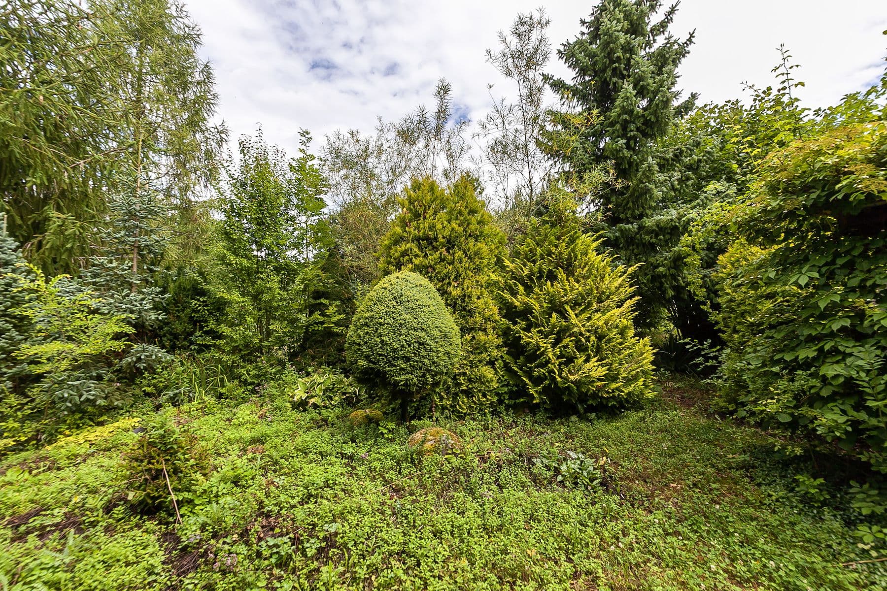 plot for sale, 2,621 m², Únětice, Údrnice, Královéhradecký Region plot for sale, 2,621 m², Únětice, Údrnice, Královéhradecký Region