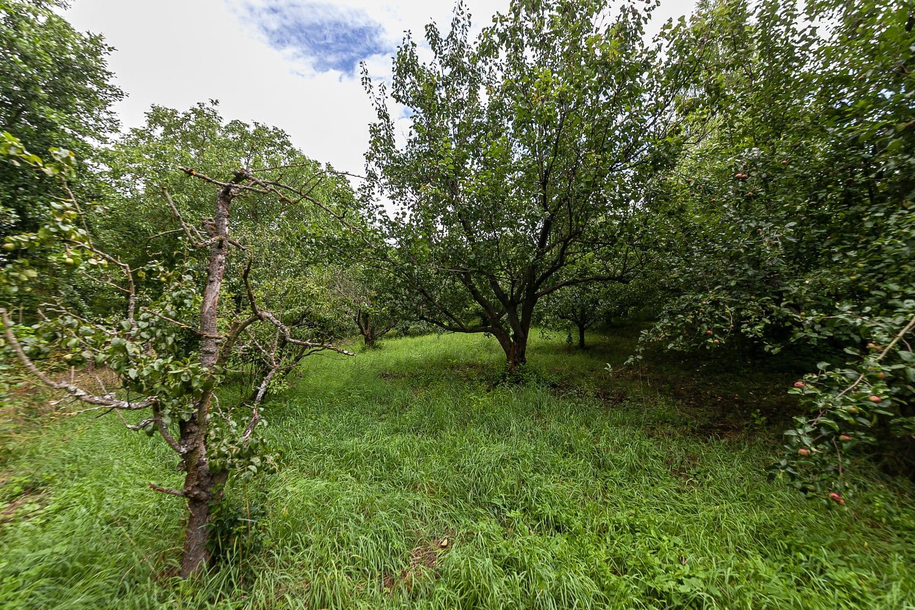 plot for sale, 2,621 m², Únětice, Údrnice, Královéhradecký Region plot for sale, 2,621 m², Únětice, Údrnice, Královéhradecký Region